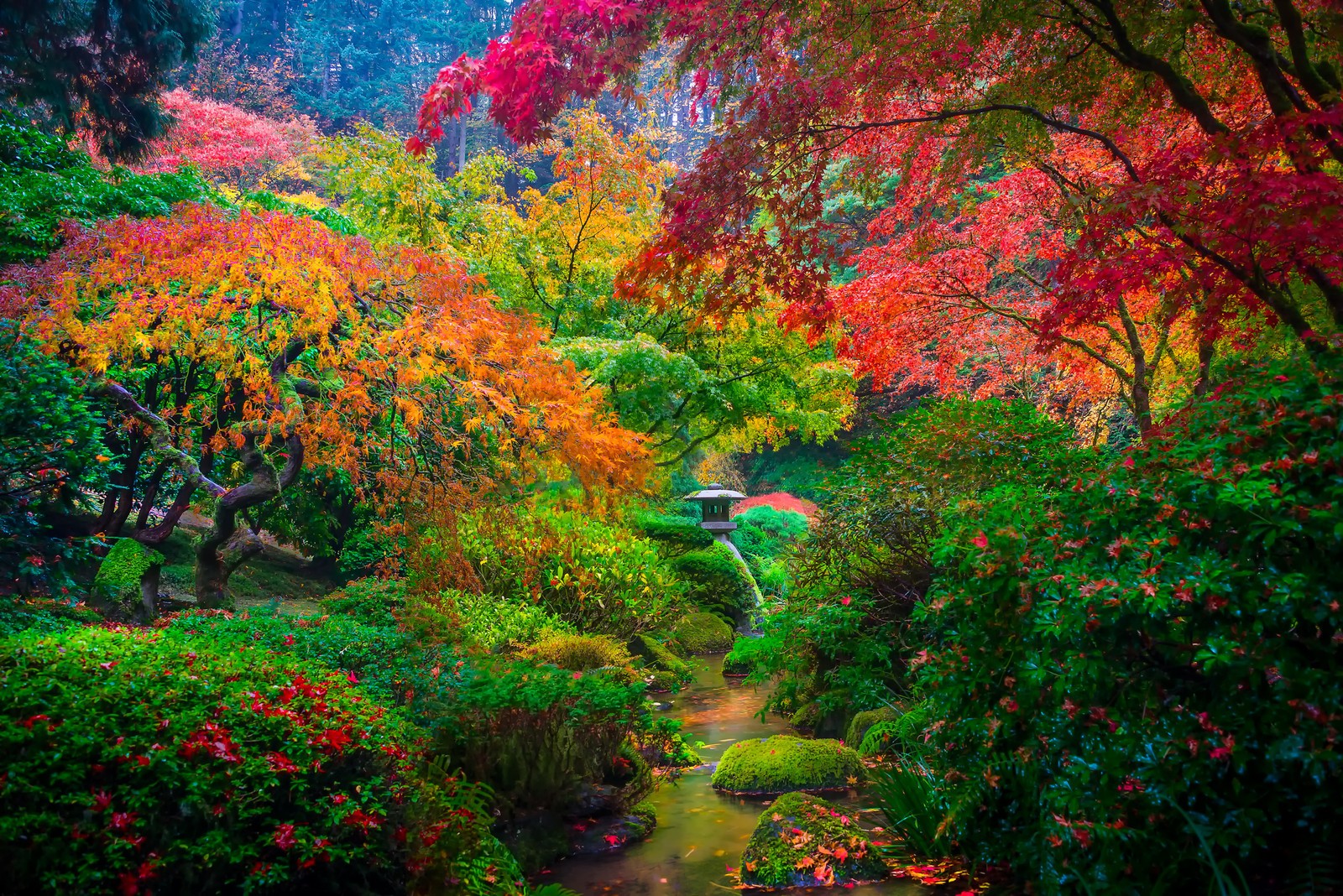 738614画像をダウンロードマンメイド, 日本庭園, カラフル, 秋, 公園, 自然, 木-壁紙とスクリーンセーバーを無料で
