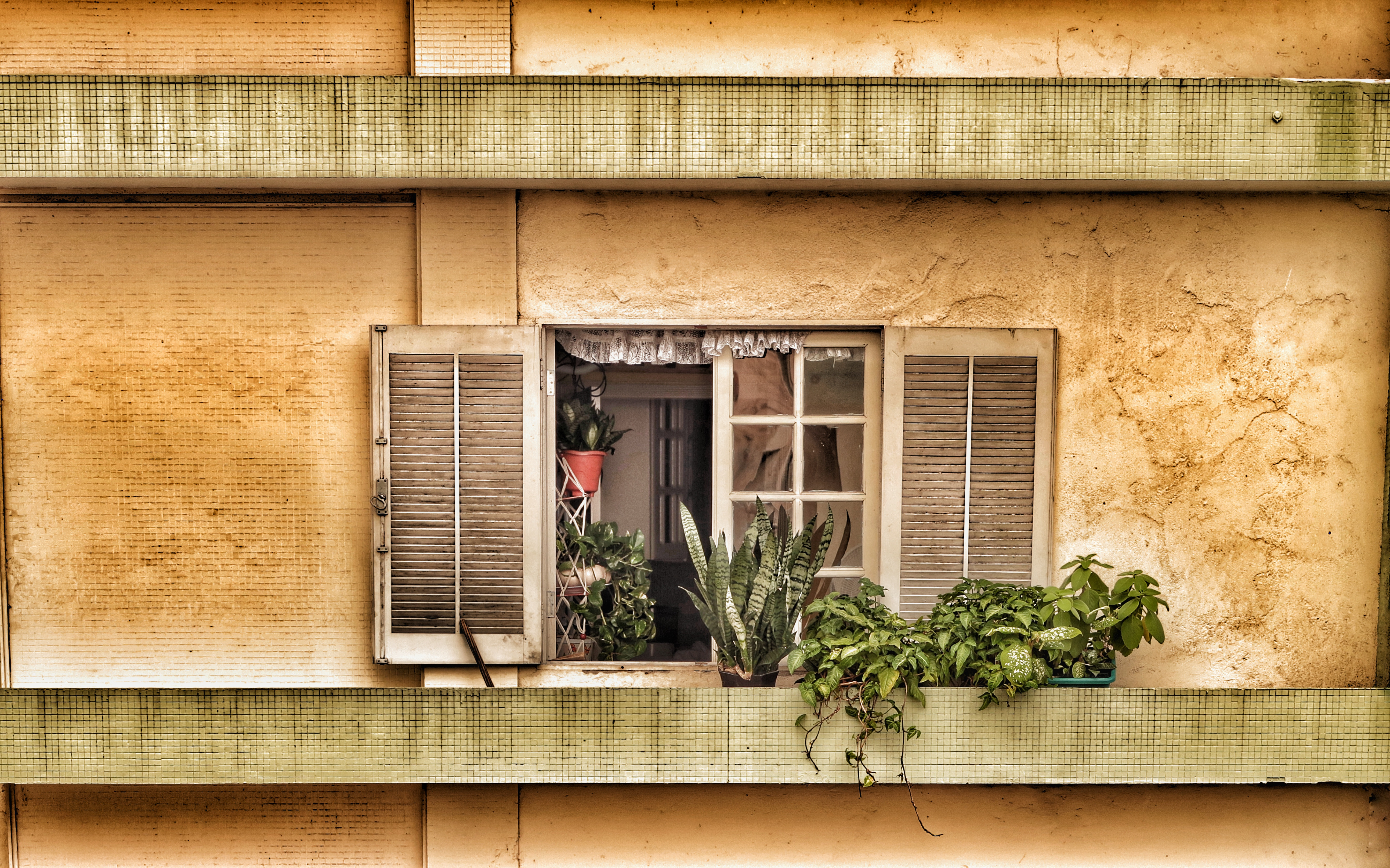 Download mobile wallpaper Miscellaneous, Miscellanea, Window, Balcony, Flowers for free.
