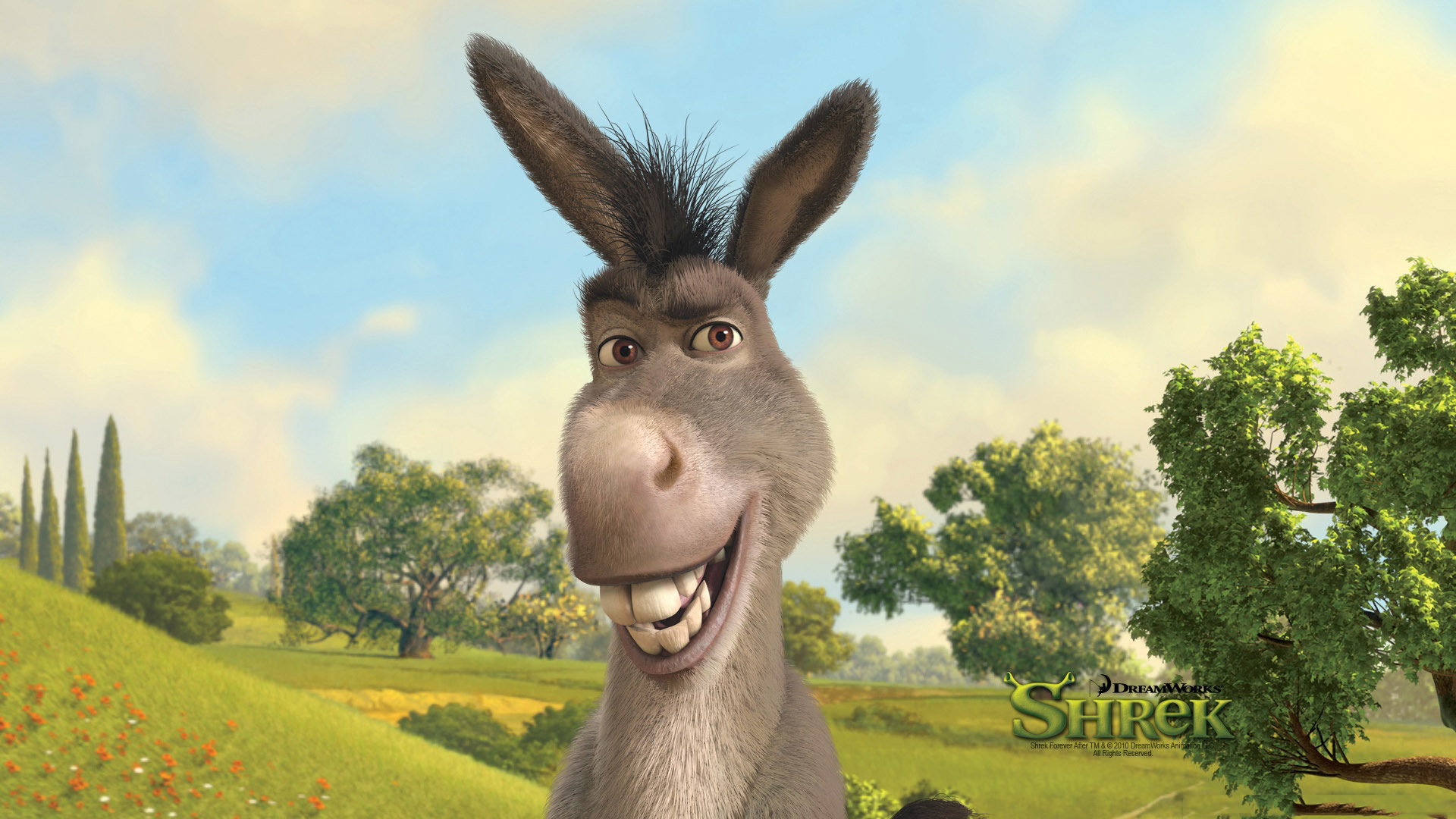 shrek, movie, shrek forever after, donkey (shrek)