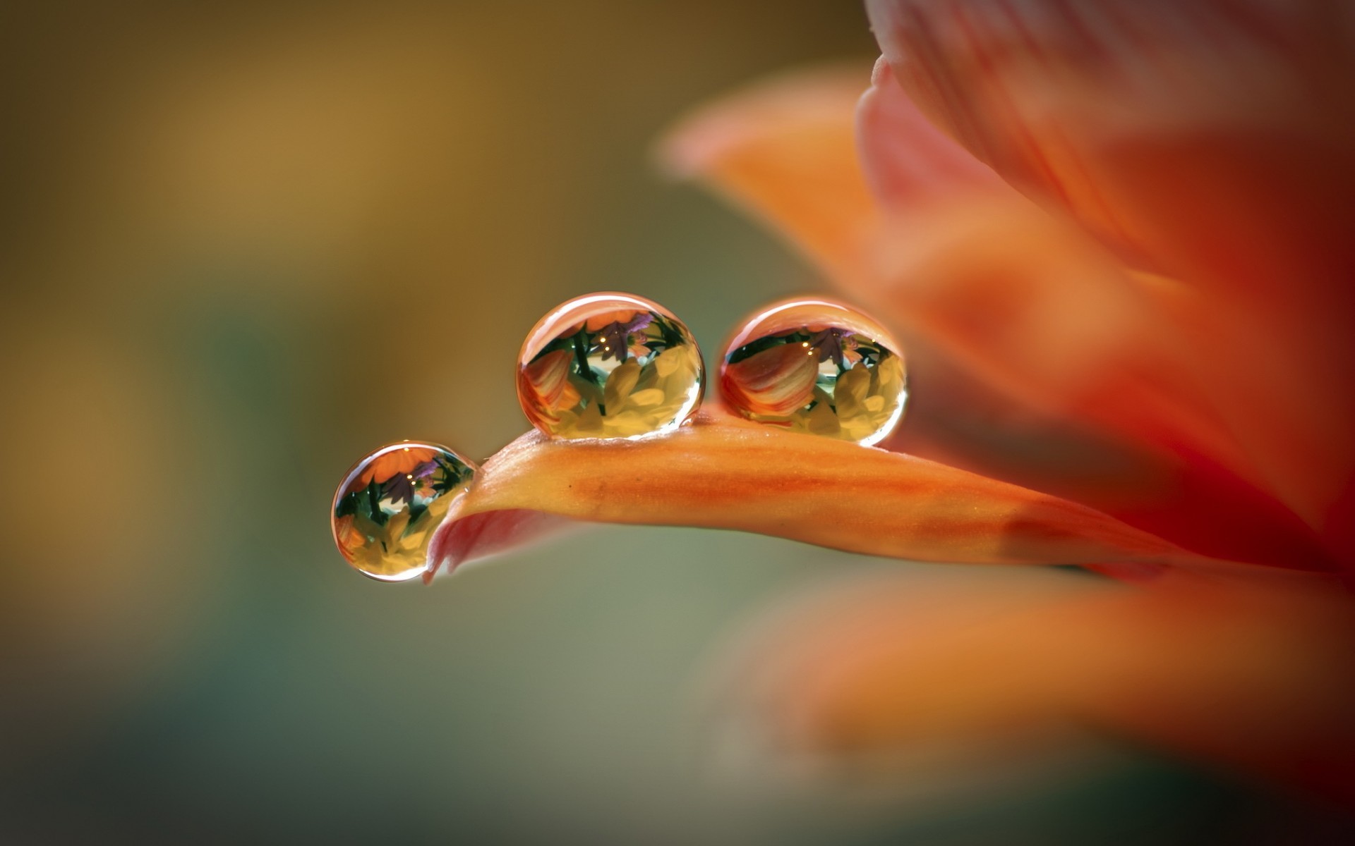 Download mobile wallpaper Earth, Water Drop for free.