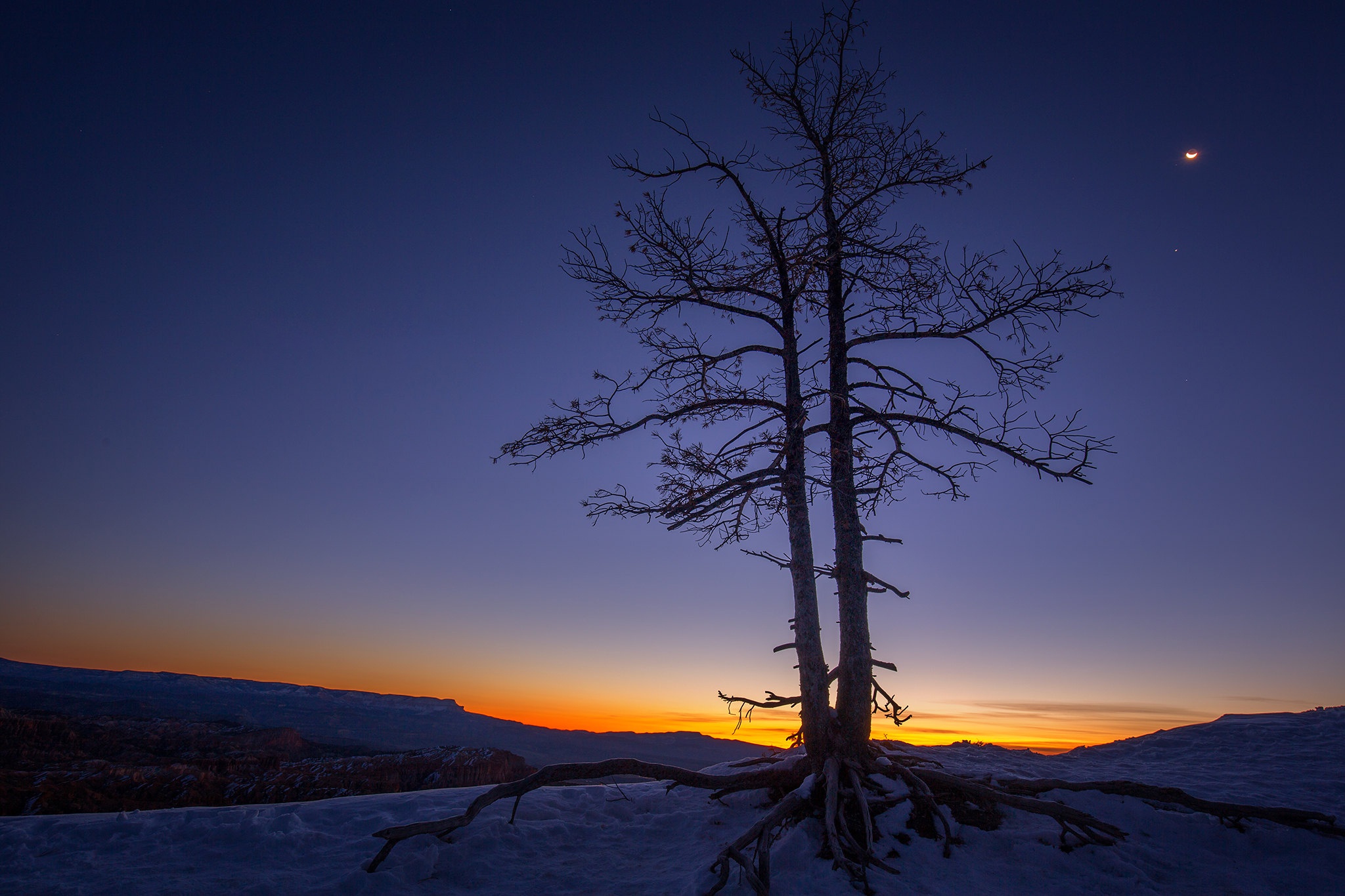 Laden Sie das Baum, Nationalpark, Sonnenuntergang, Erde/natur, Bryce Canyon Nationalpark-Bild kostenlos auf Ihren PC-Desktop herunter