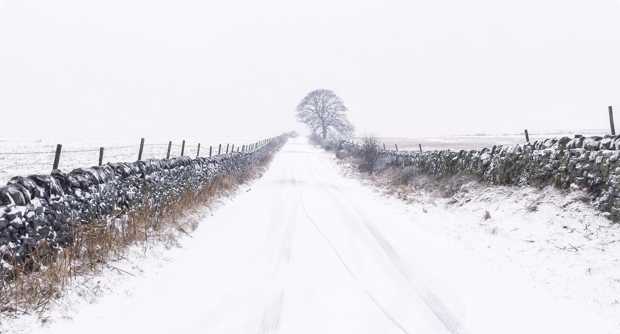 Laden Sie das Winter, Natur, Schnee, Straße, Nebel, Menschengemacht-Bild kostenlos auf Ihren PC-Desktop herunter