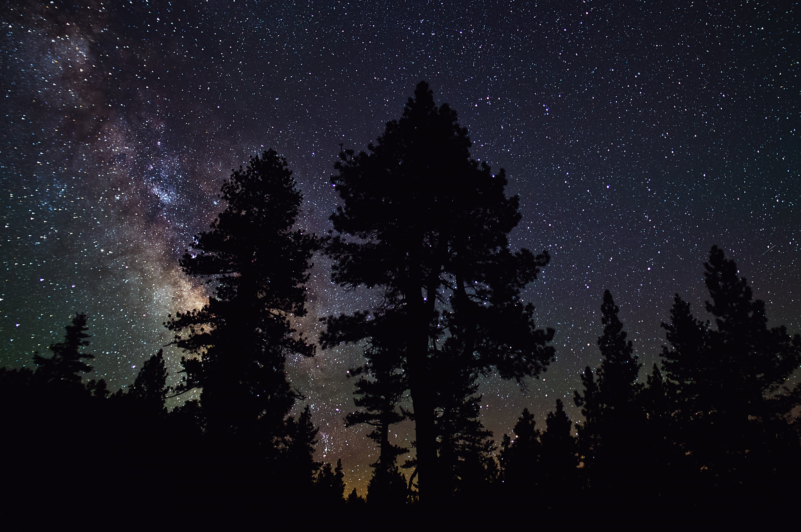 Free download wallpaper Sky, Night, Silhouette, Forest, Tree, Starry Sky, Earth, Milky Way on your PC desktop