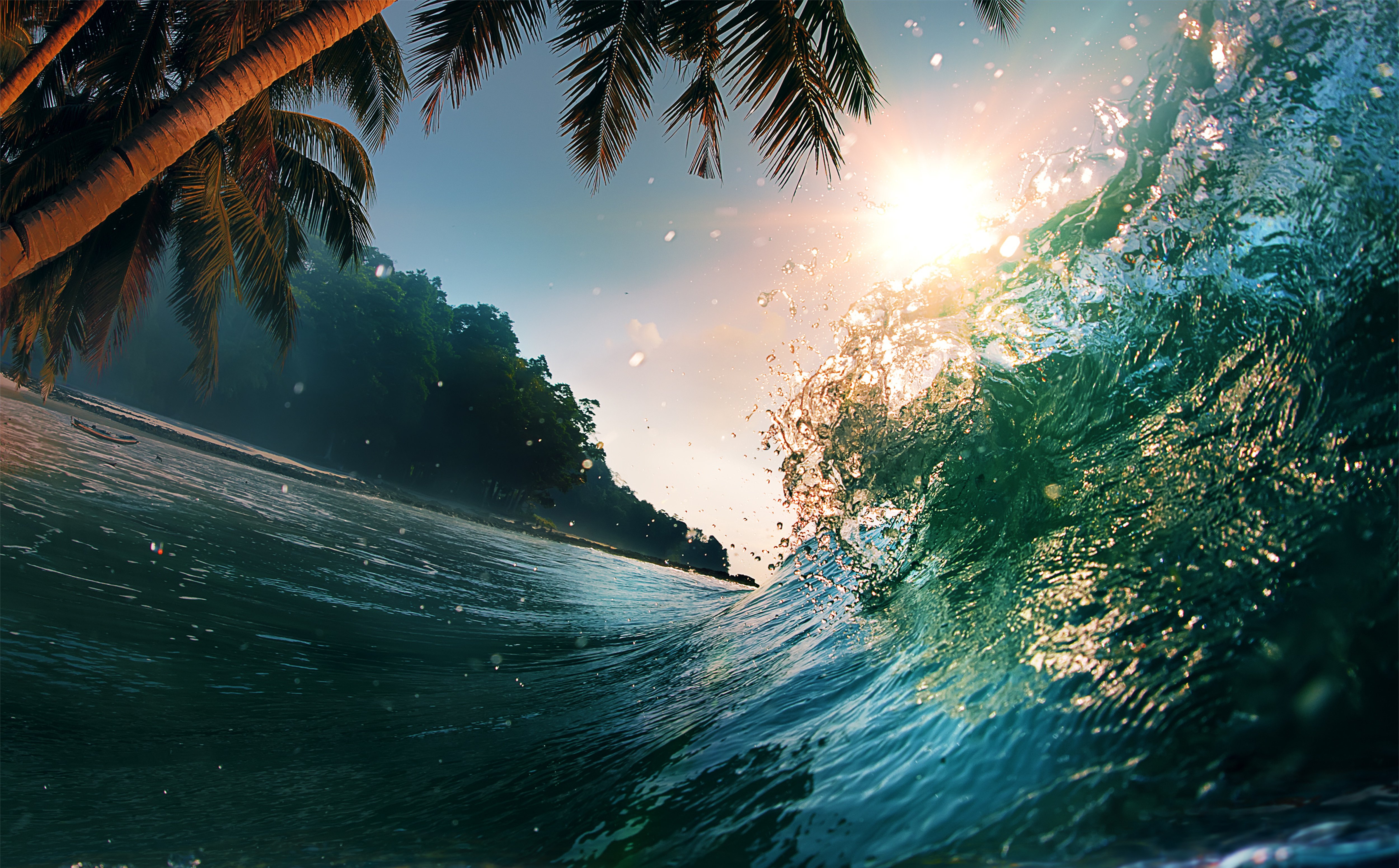 Download mobile wallpaper Beach, Summer, Earth, Wave, Palm Tree for free.