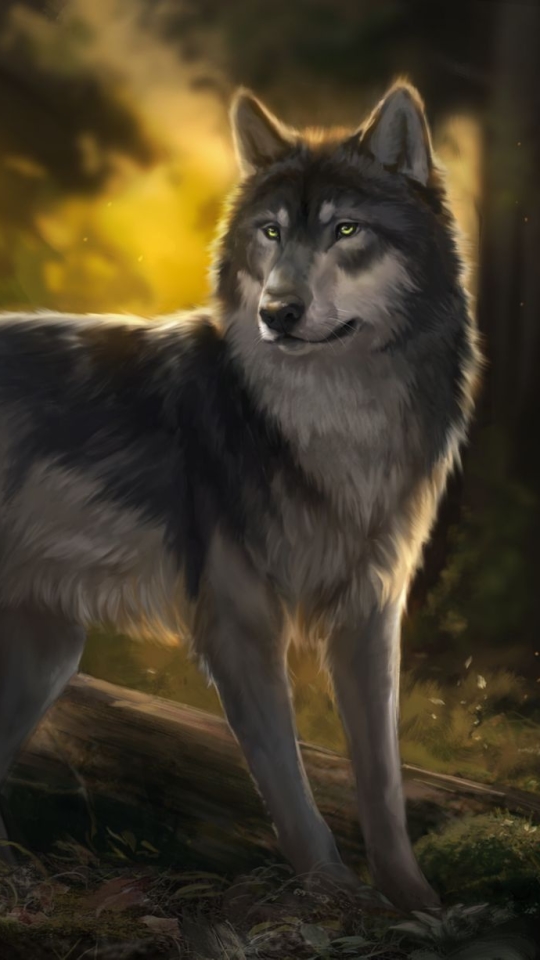 Handy-Wallpaper Tiere, Wolf, Wolves kostenlos herunterladen.