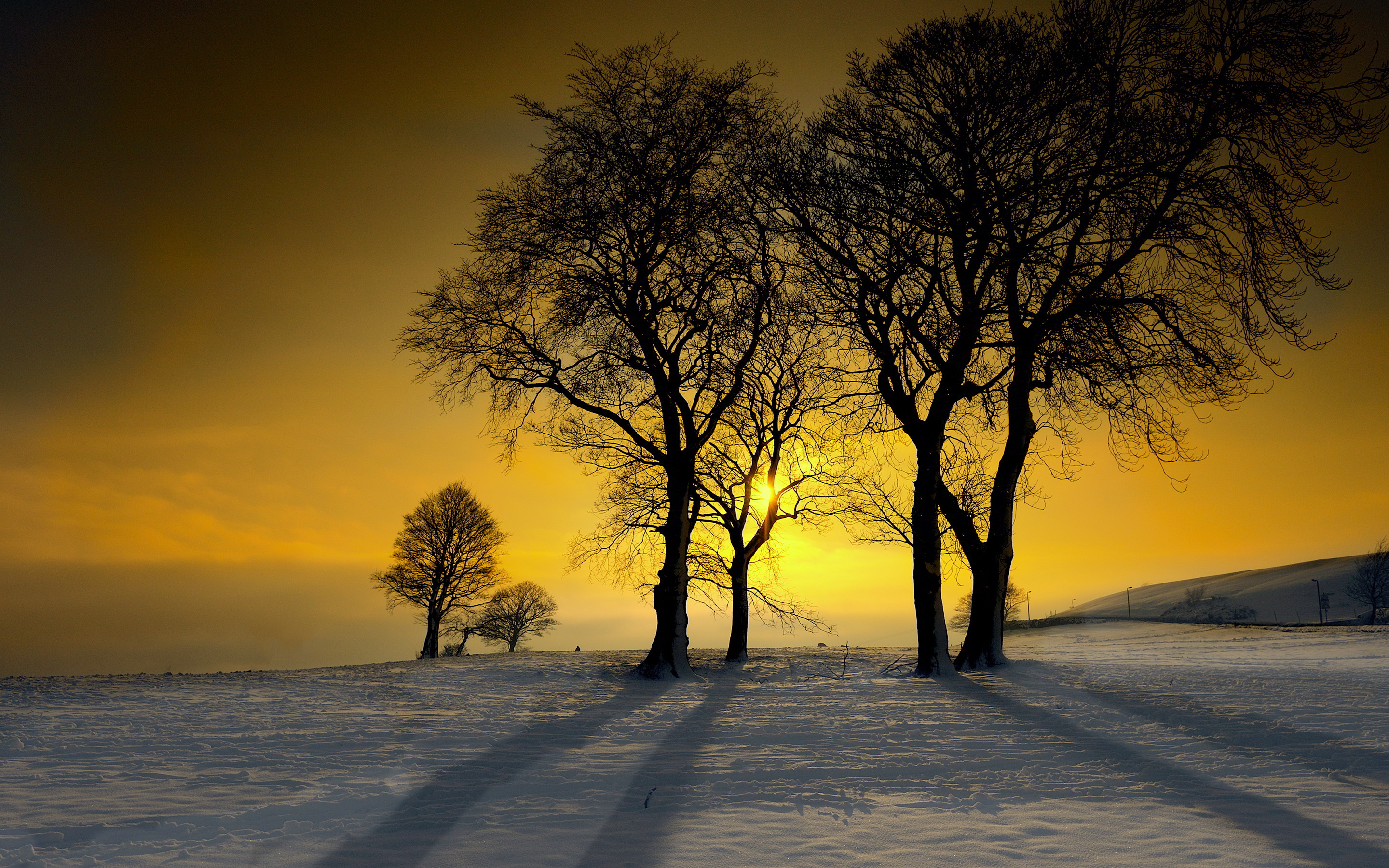 無料モバイル壁紙冬, 自然, 木, 日没, 雪, 地球をダウンロードします。
