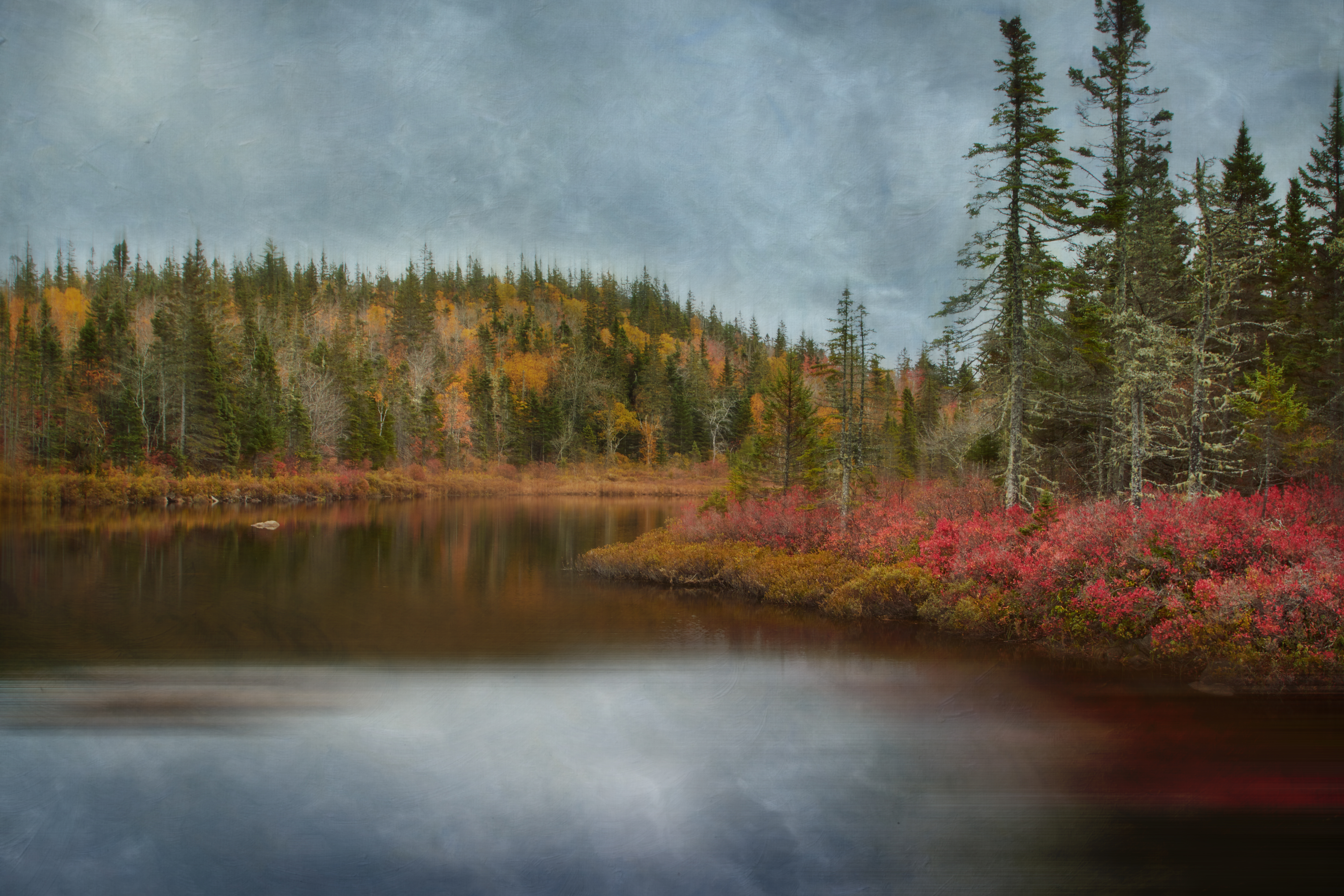PCデスクトップに自然, 木, 湖, 森林, 森, 風景, 秋画像を無料でダウンロード