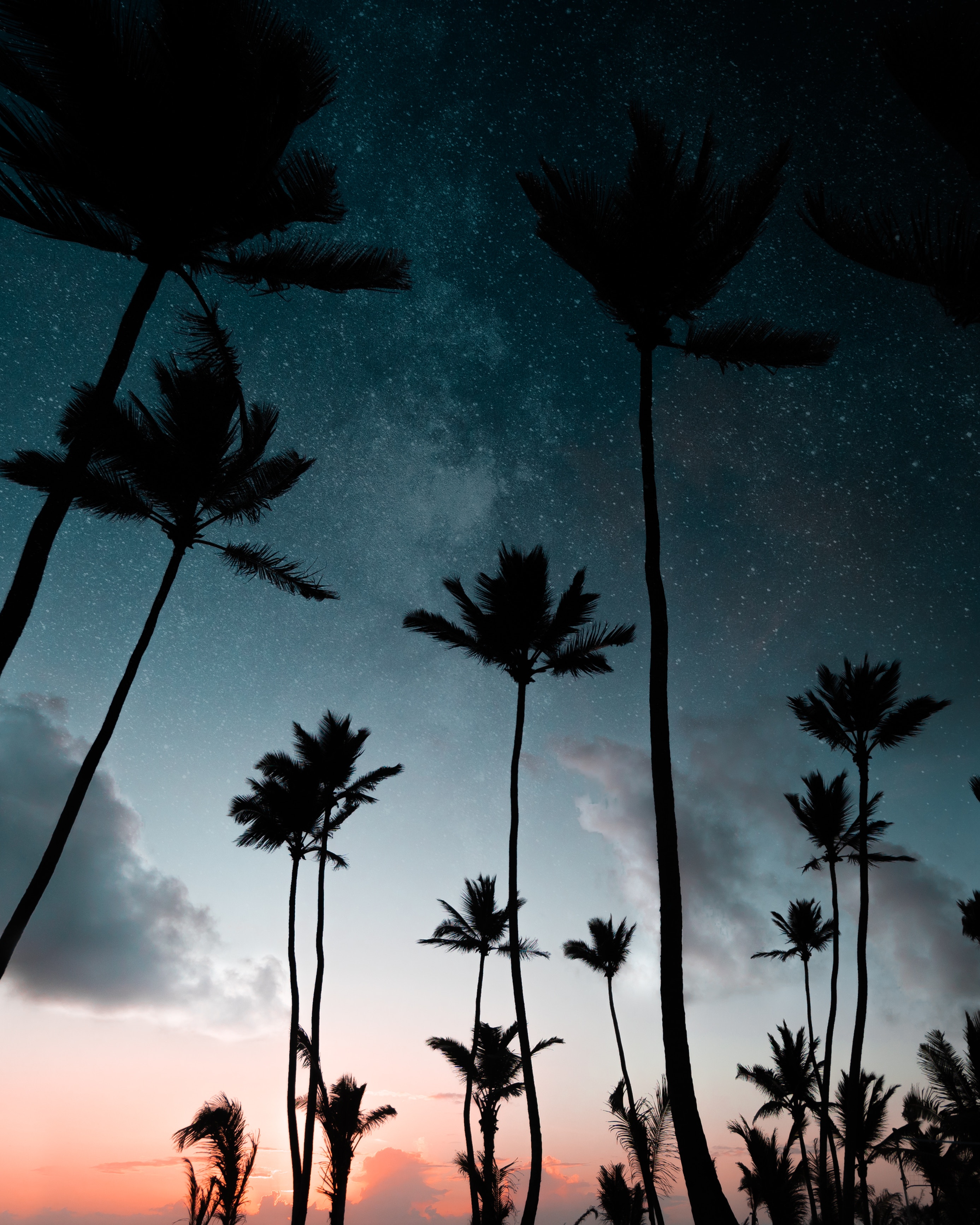 Free download wallpaper Nature, Dark, Starry Sky, Palms, Night, Silhouettes on your PC desktop