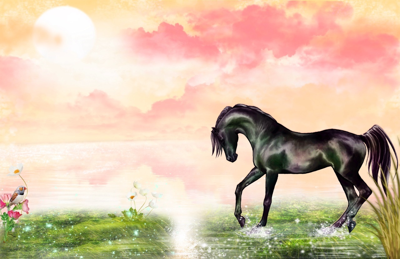Laden Sie das Tiere, Wolke, Pferd, Künstlerisch-Bild kostenlos auf Ihren PC-Desktop herunter