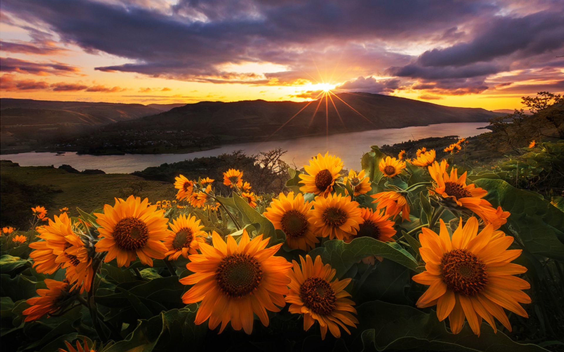 Download mobile wallpaper Landscape, Sunset, Mountain, Lake, Flower, Sunrise, Earth, Sunflower, Yellow Flower for free.