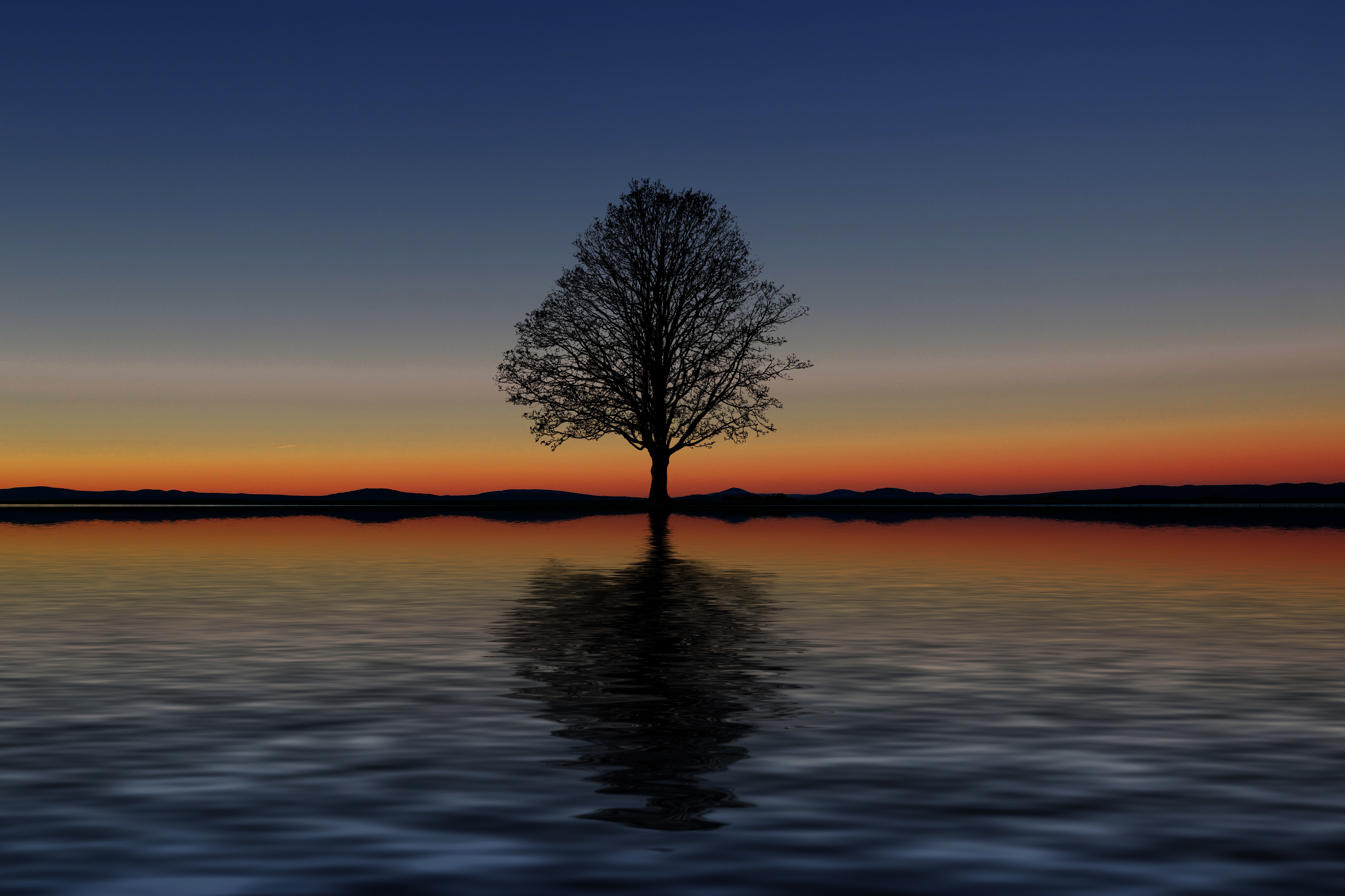 Laden Sie das Minimalismus, Horizont, Reflexion, Holz, Allein, Sunset, Baum, Einsam-Bild kostenlos auf Ihren PC-Desktop herunter