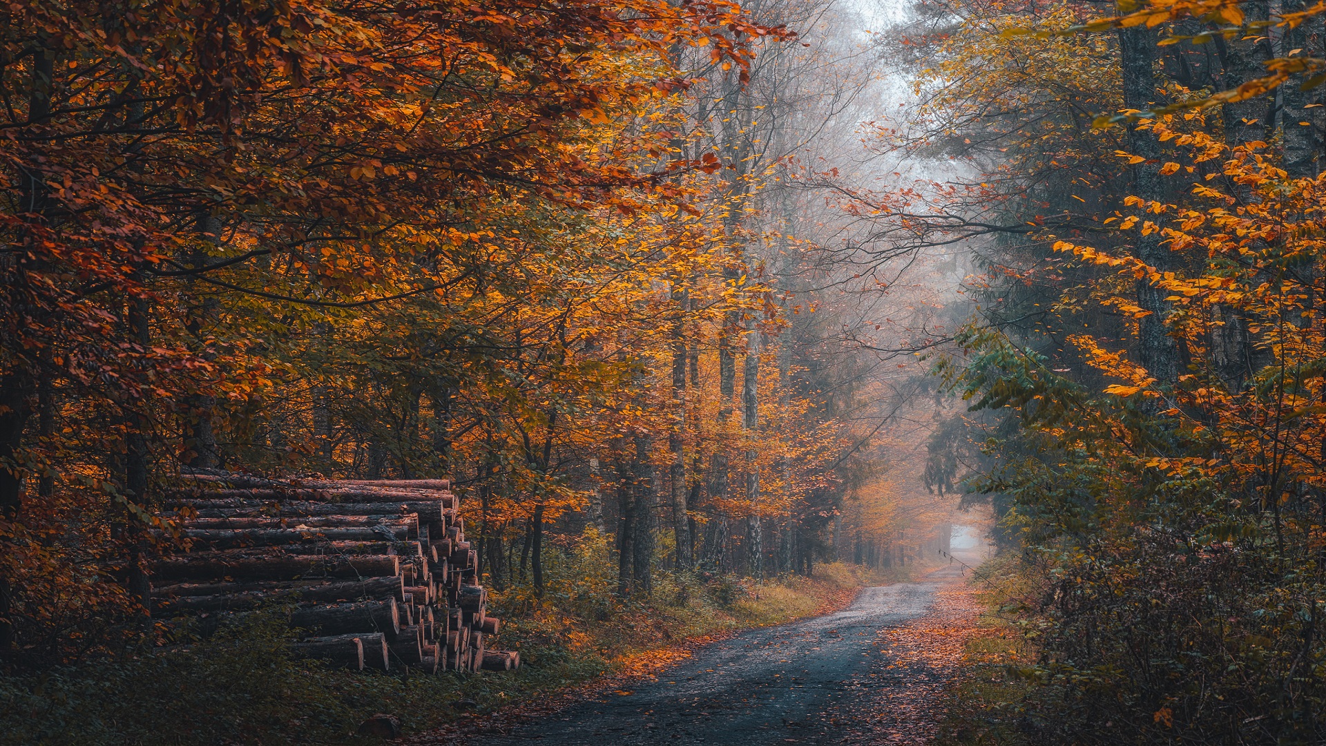 Free download wallpaper Nature, Fall, Path, Photography, Outdoor on your PC desktop