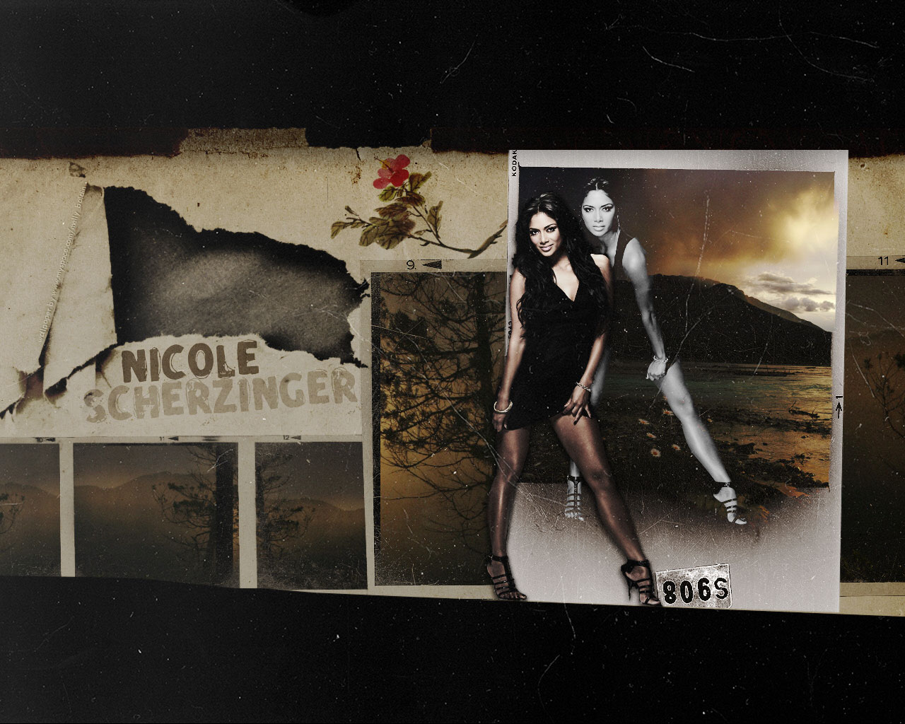 Descarga gratuita de fondo de pantalla para móvil de Música, Nicole Scherzinger.