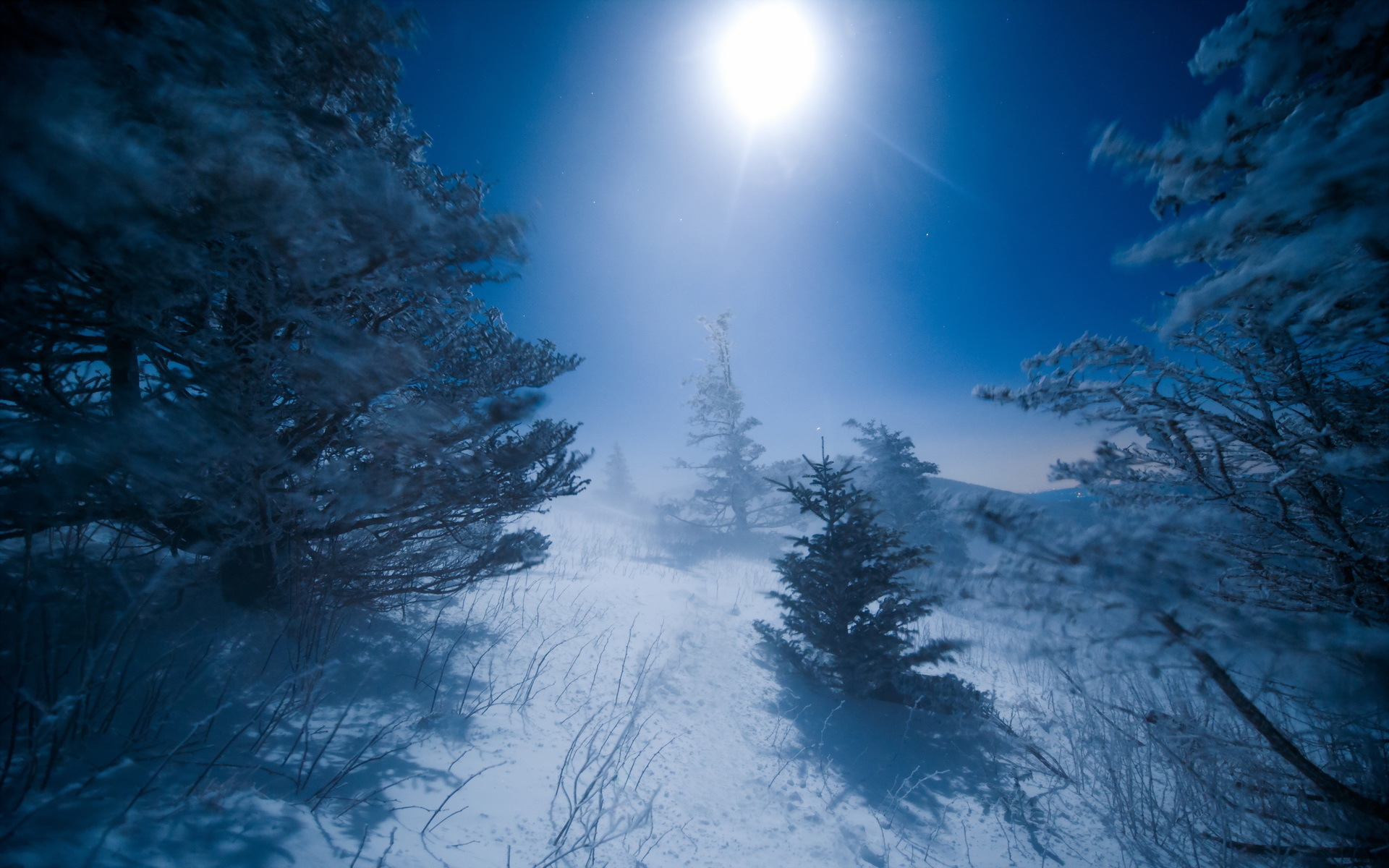 Baixe gratuitamente a imagem Inverno, Sol, Árvore, Terra/natureza na área de trabalho do seu PC