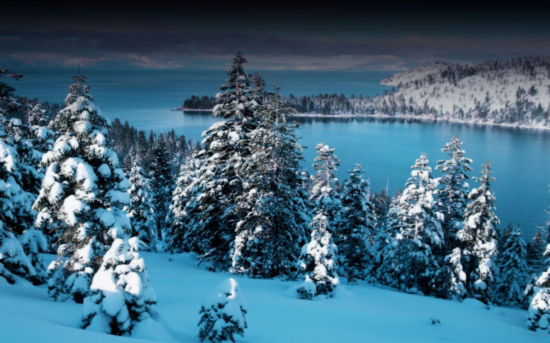 Laden Sie das Winter, Schnee, Horizont, Wald, Baum, Fluss, Erde/natur-Bild kostenlos auf Ihren PC-Desktop herunter