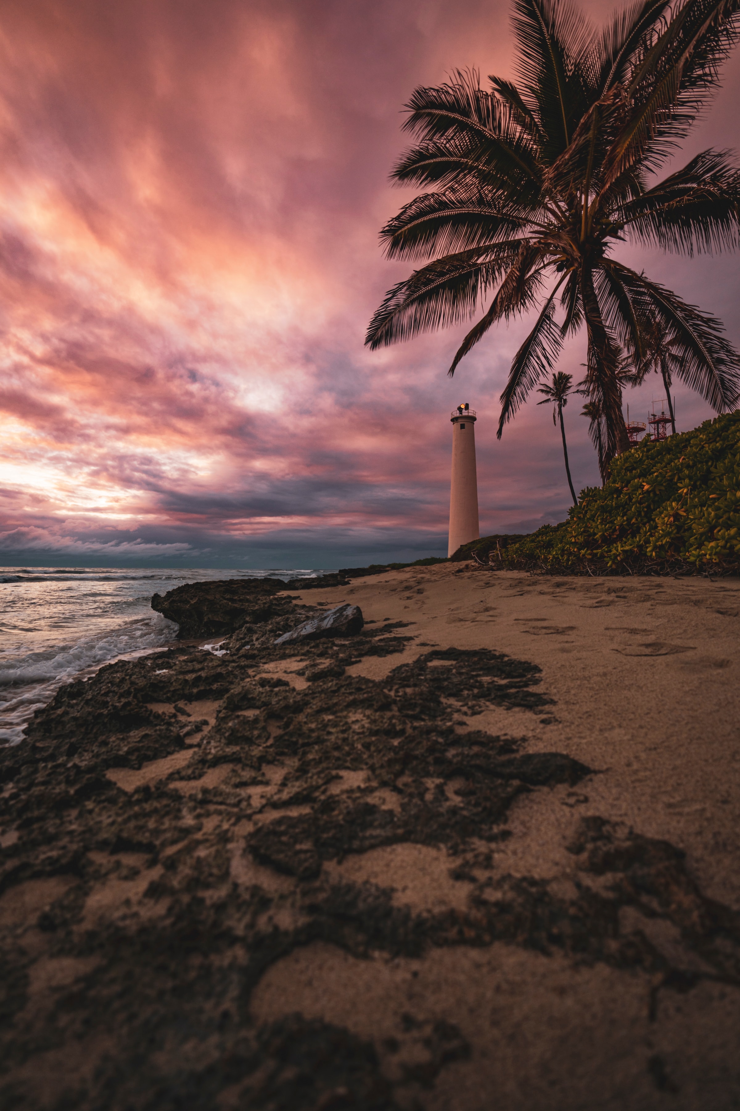 beach, palm, nature, sea, shore, bank, lighthouse HD wallpaper