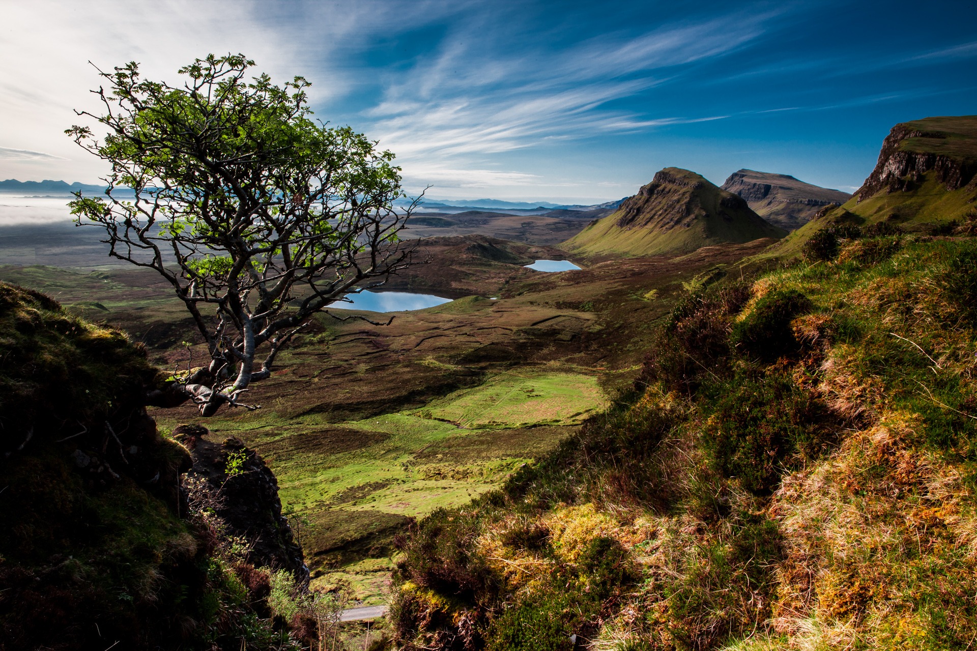 Скачать картинку Пейзаж, Природа, Горизонт, Гора, Озеро, Шотландия, Земля/природа, Одинокое Дерево в телефон бесплатно.