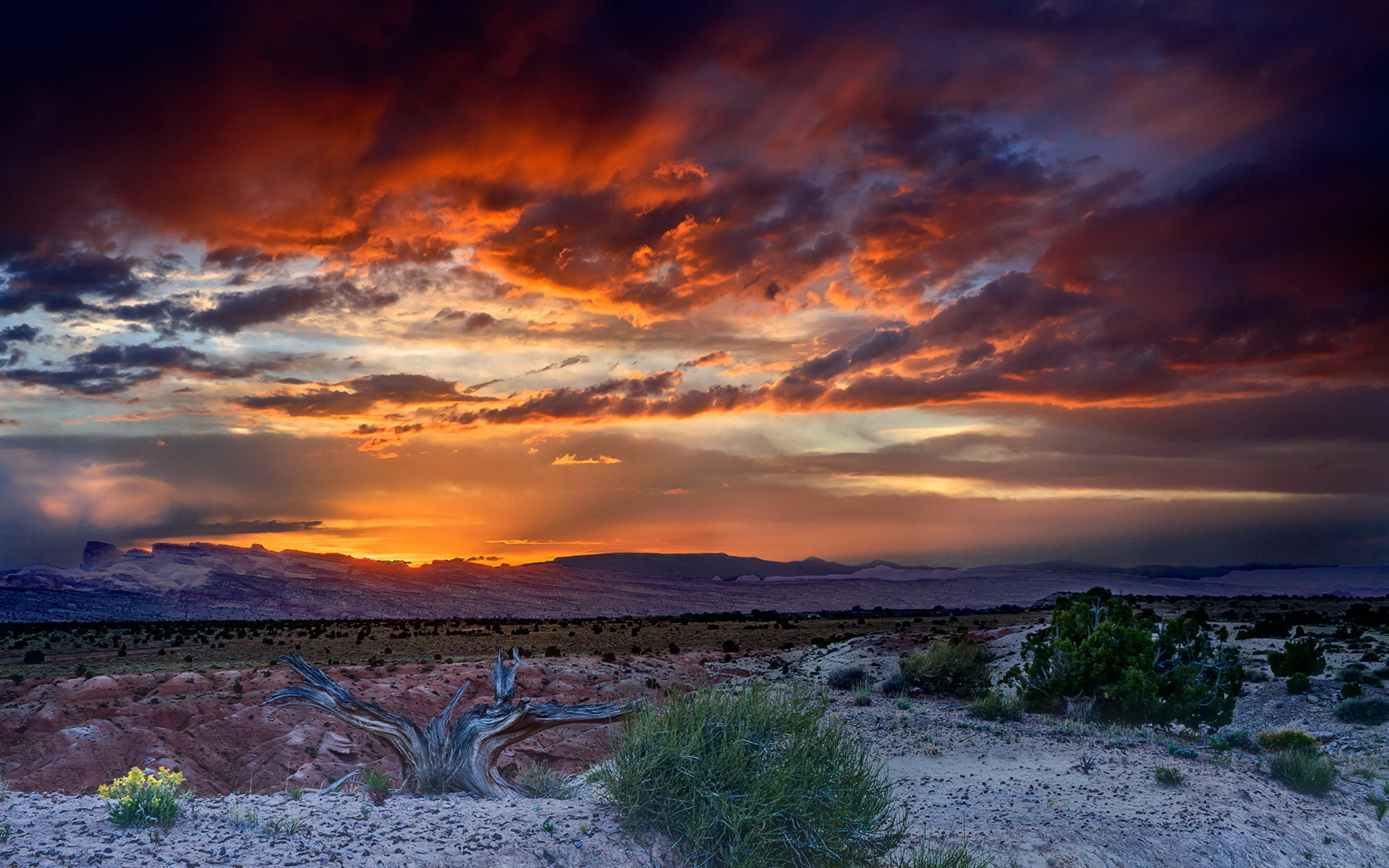 Descarga gratuita de fondo de pantalla para móvil de Atardecer, Tierra/naturaleza.