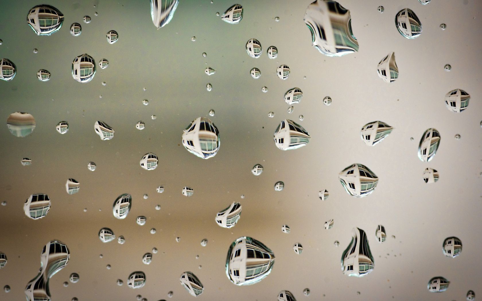 water, after the rain, drops, reflection, macro, surface