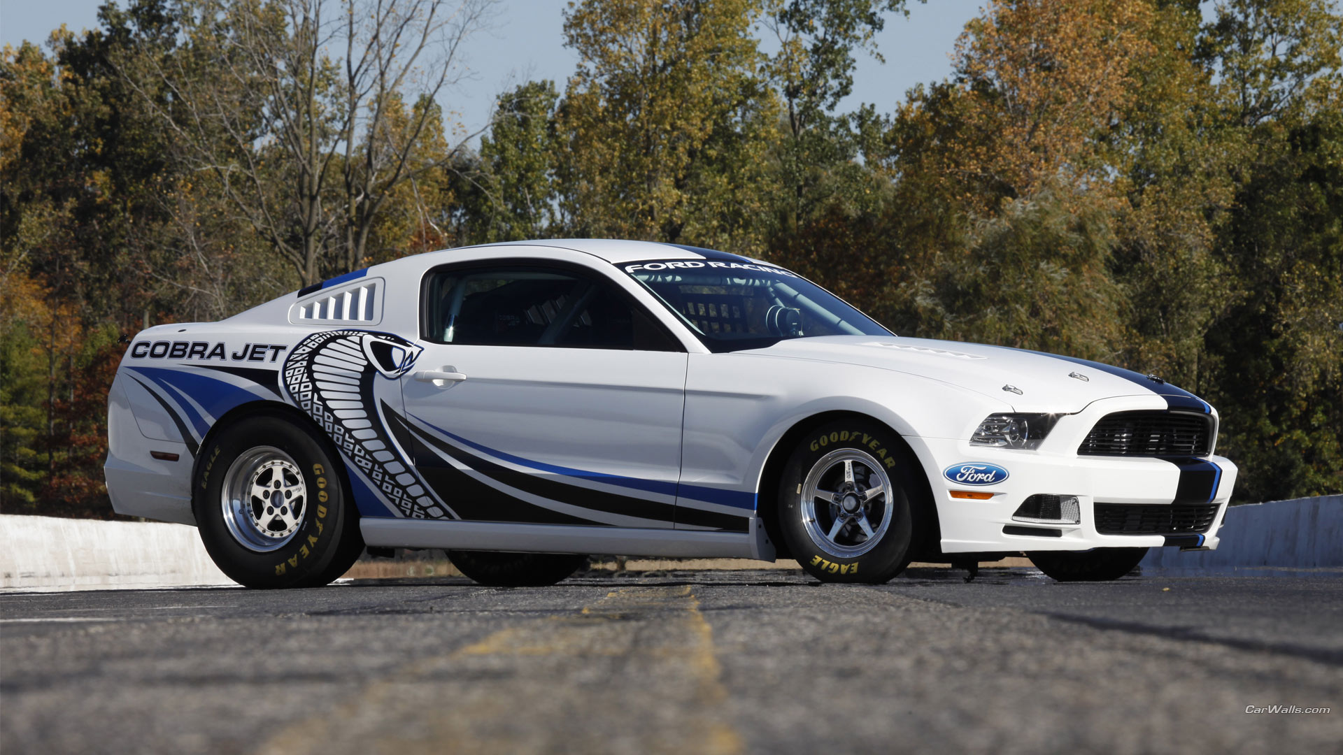 vehicles, ford mustang cobra jet twin turbo