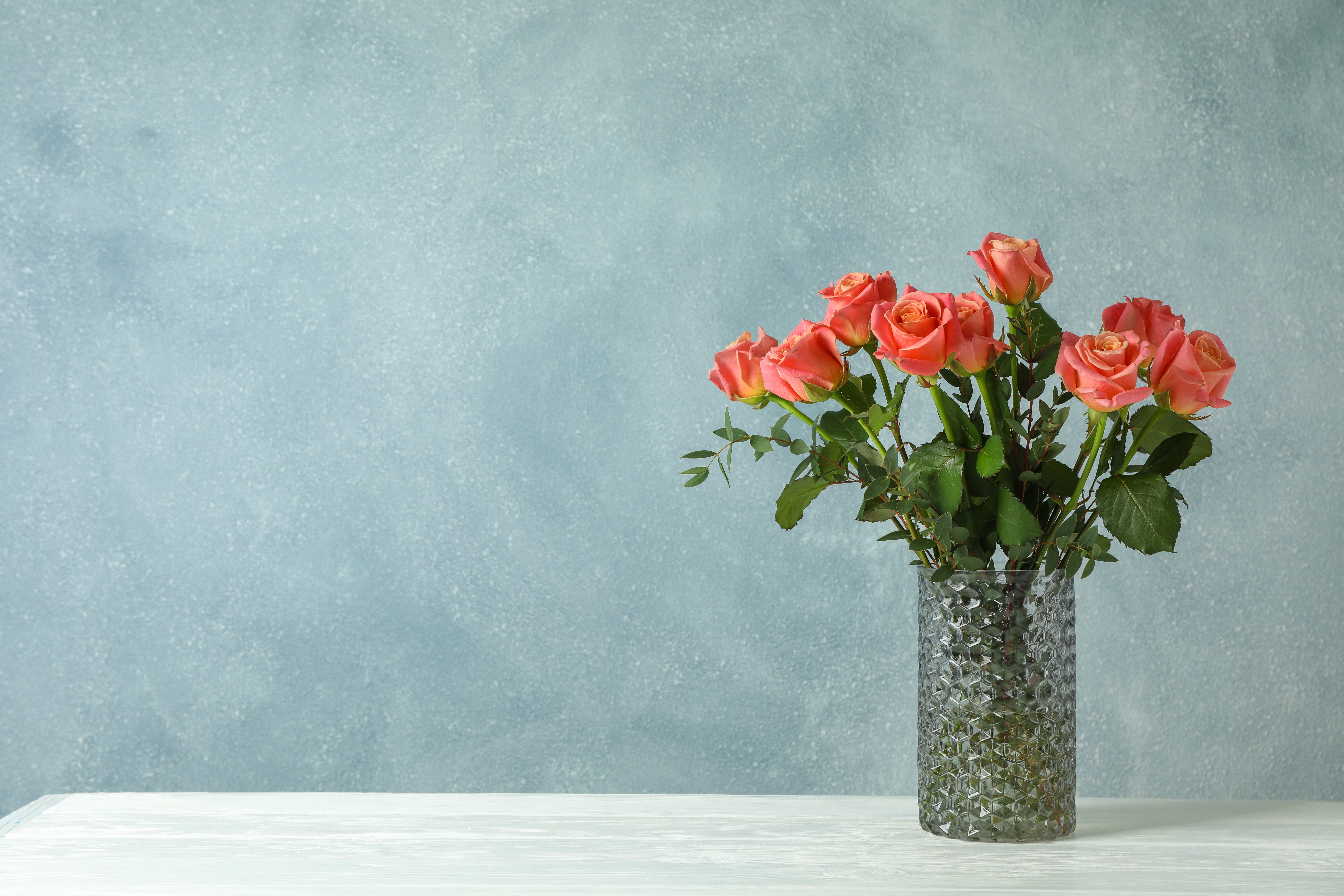 Handy-Wallpaper Blume, Rose, Vase, Menschengemacht kostenlos herunterladen.