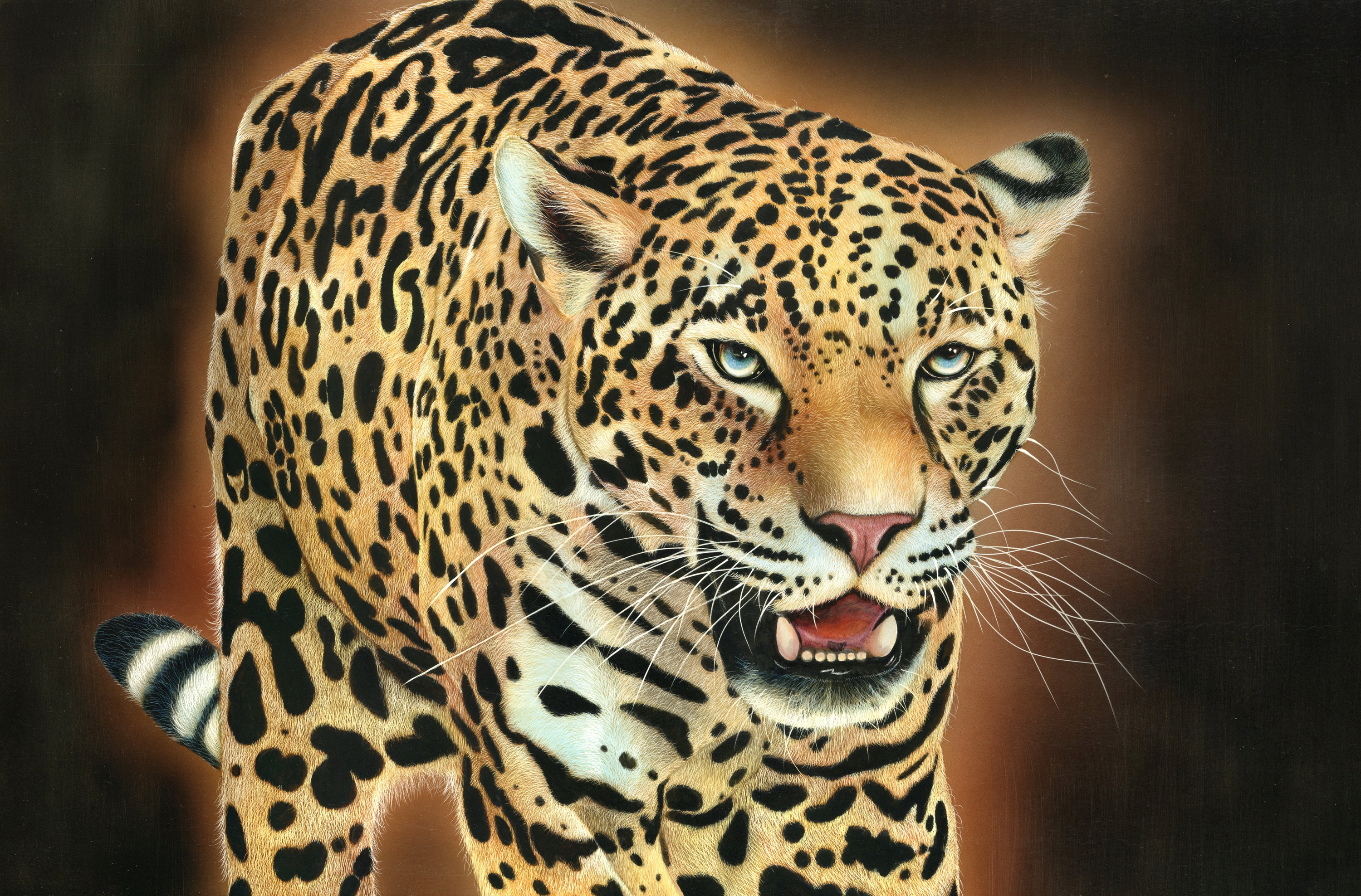 Download mobile wallpaper Leopard, Cats, Animal for free.