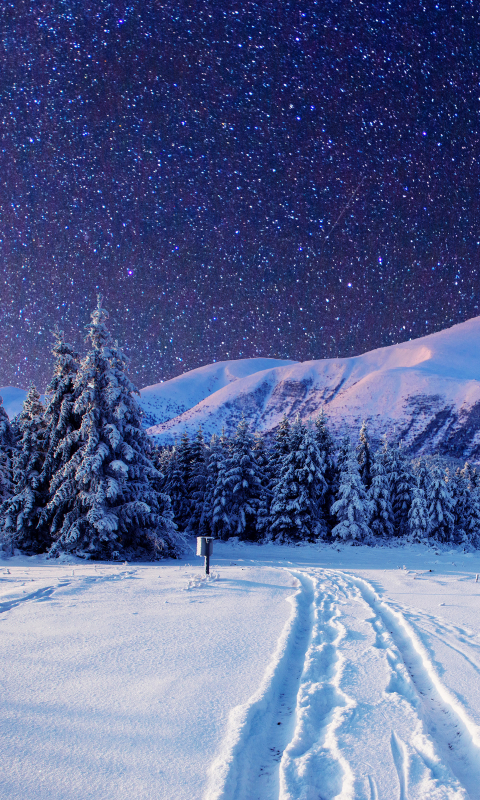 Download mobile wallpaper Winter, Sky, Snow, Starry Sky, Earth for free.