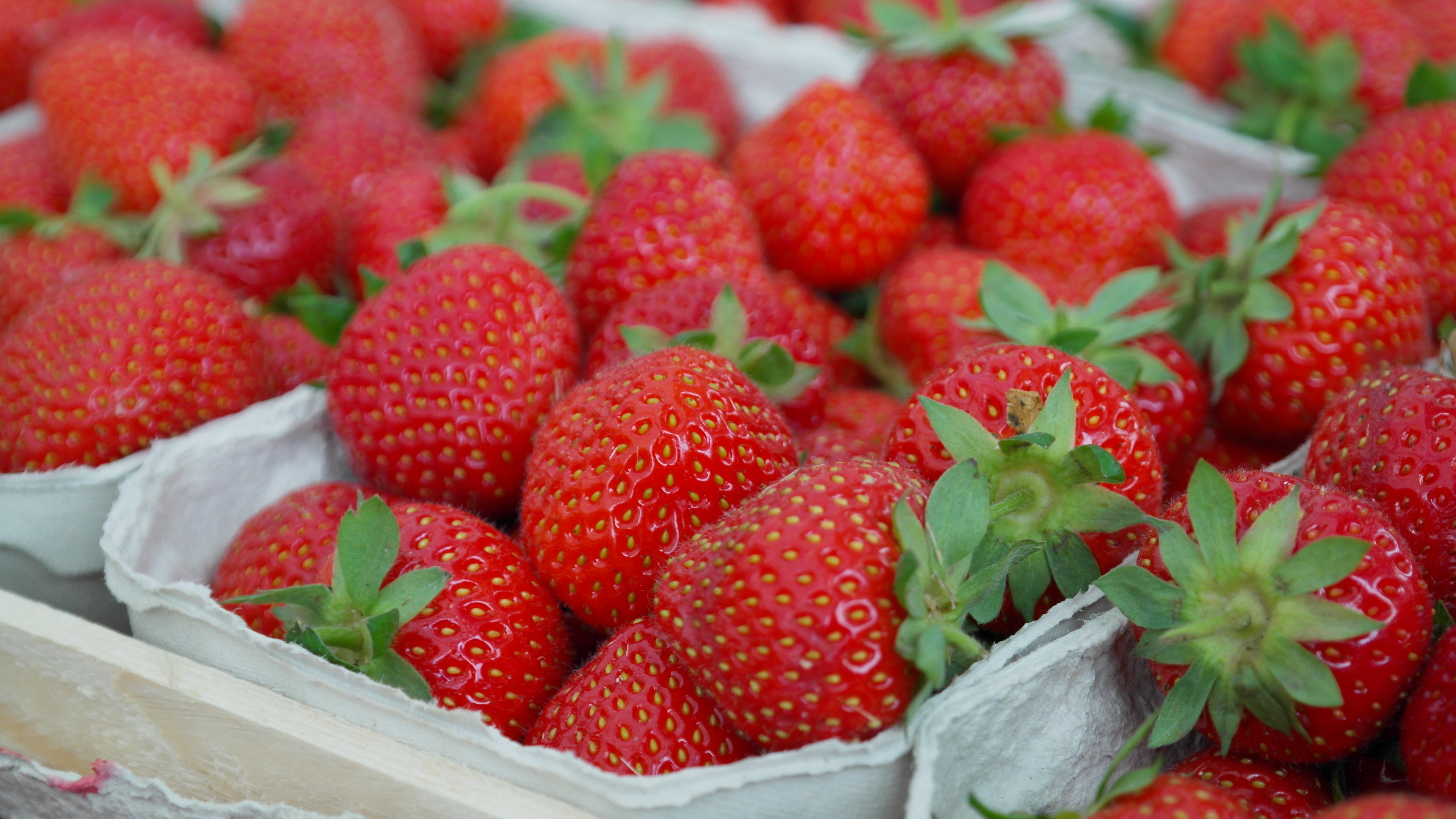 Free download wallpaper Food, Berries, Ripe, Strawberry on your PC desktop