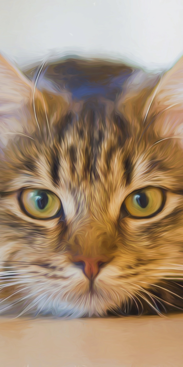 無料モバイル壁紙動物, ネコ, 猫, 油絵をダウンロードします。