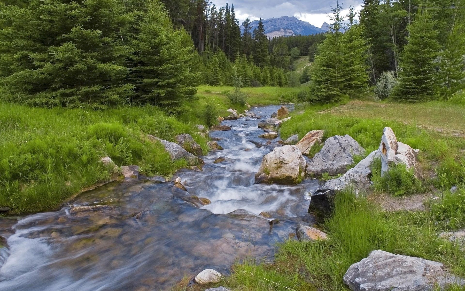 Download mobile wallpaper Nature, Rivers, Mountains, Stream, Greens, Flow, Forest for free.
