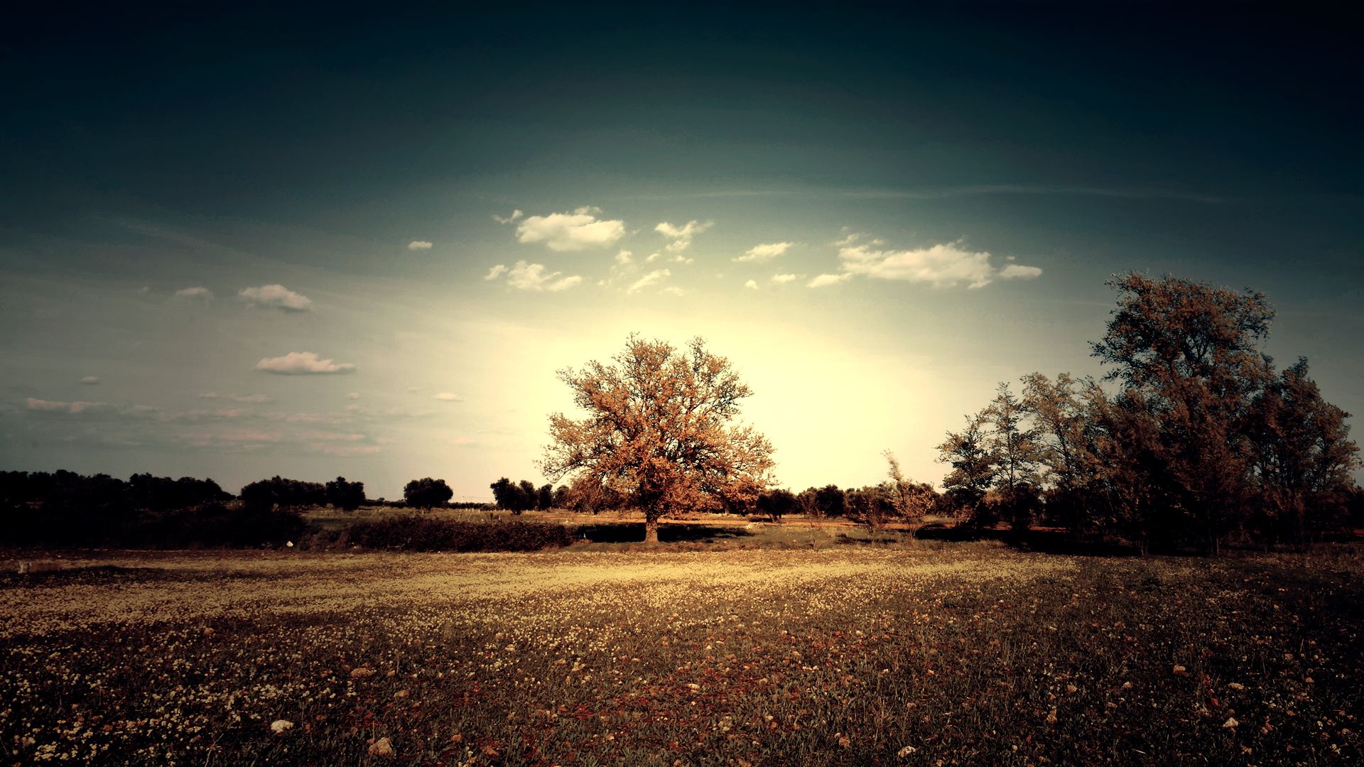 Descarga gratuita de fondo de pantalla para móvil de Paisaje, Tierra/naturaleza.