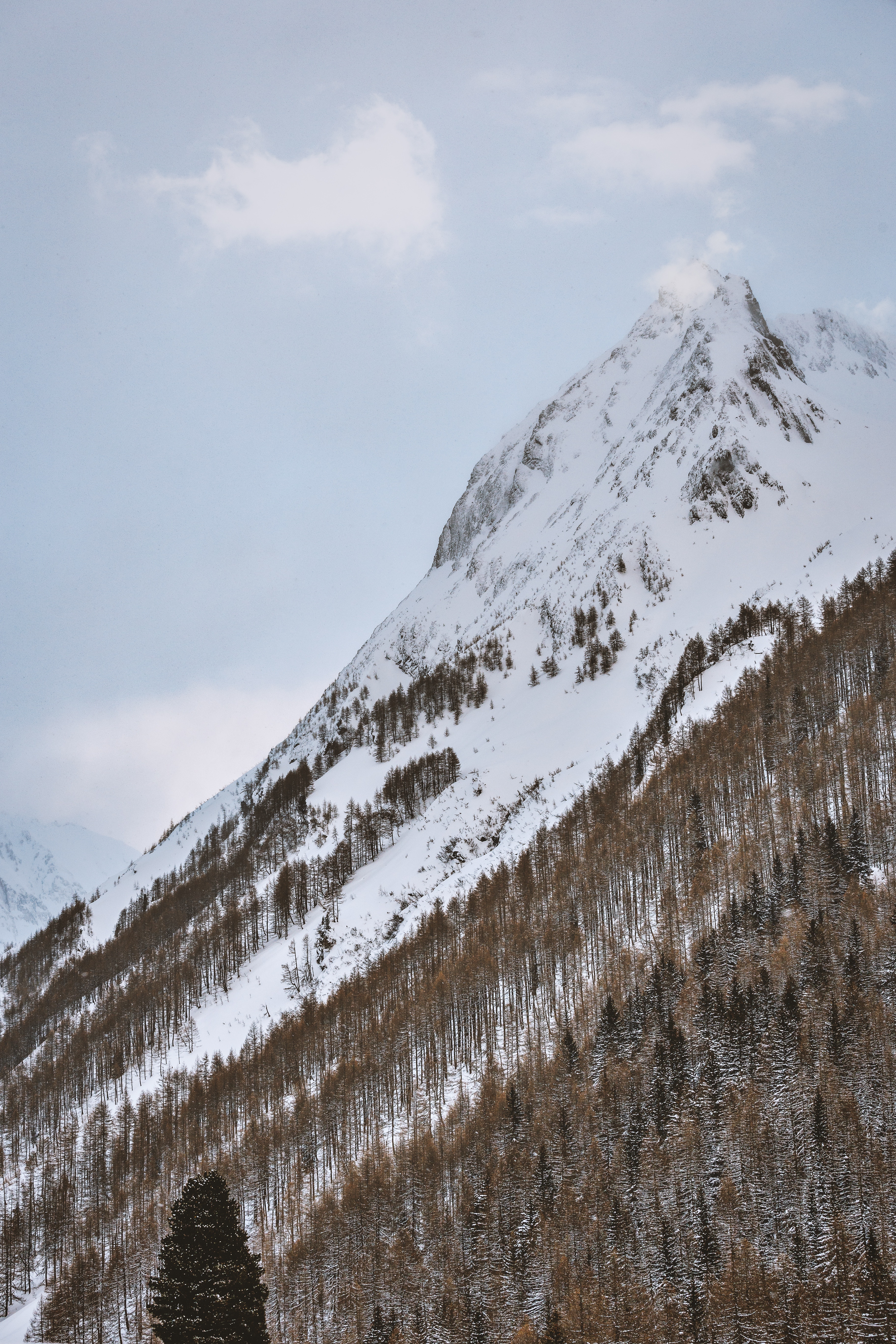 Скачать обои бесплатно Гора, Заснеженный, Деревья, Снег, Природа, Зима картинка на рабочий стол ПК