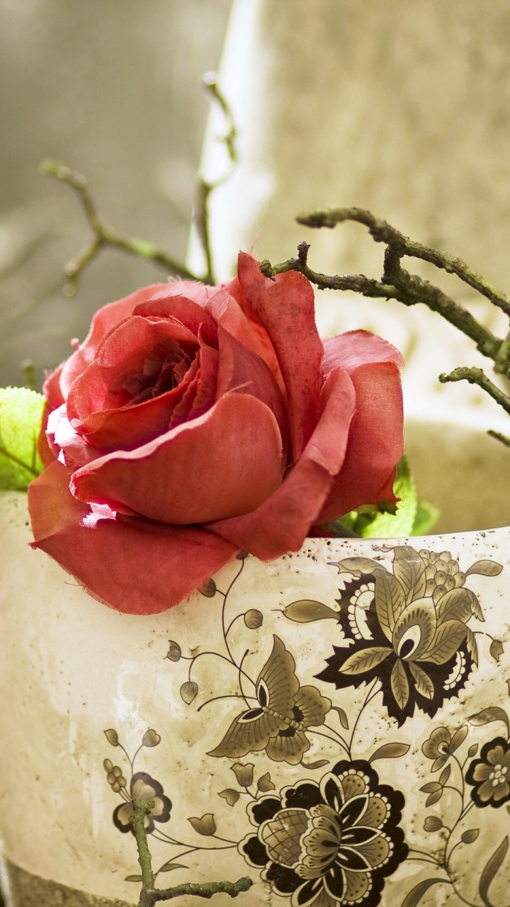 無料モバイル壁紙花, 薔薇, マンメイドをダウンロードします。
