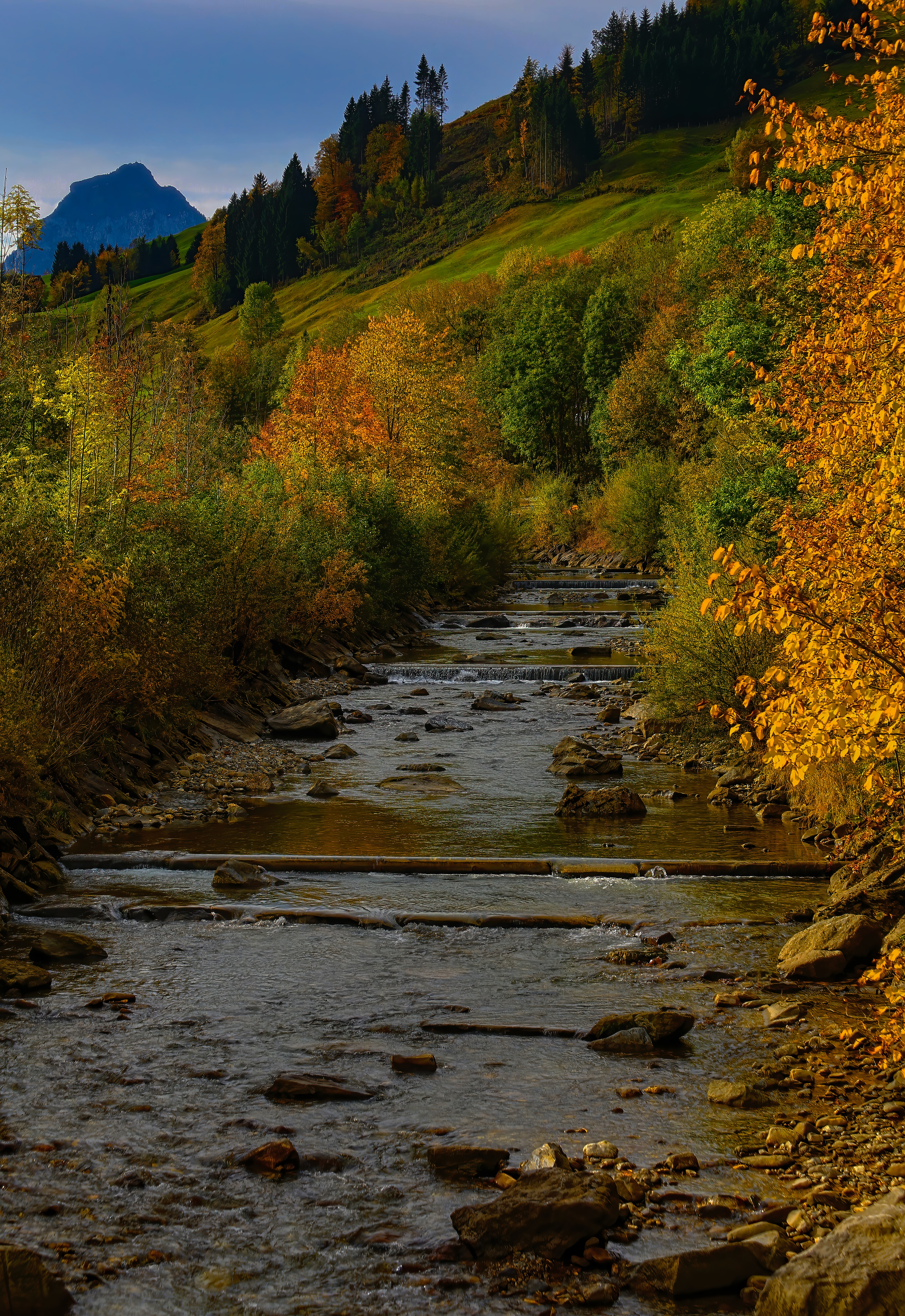 Download mobile wallpaper Nature, Stream, Rivers, Flow, Trees, Autumn for free.