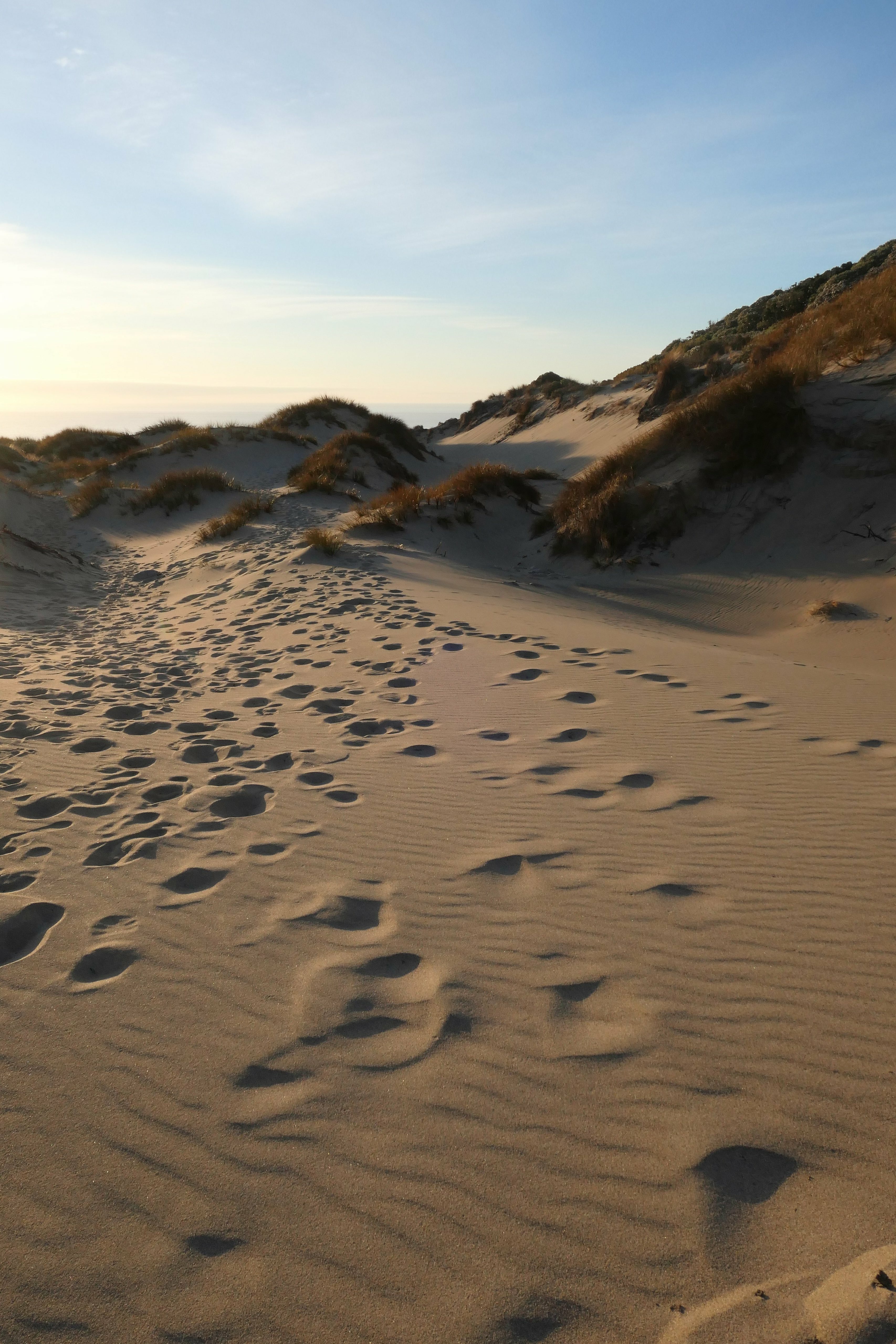 nature, grass, sand, hill, traces, dunes Full HD