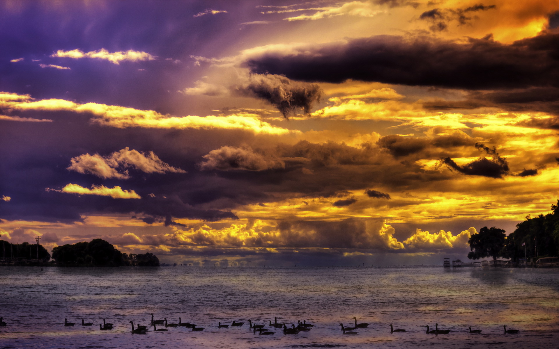 Free download wallpaper Sunset, Lakes, Lake, Earth, Evening, Swan, Cloud on your PC desktop