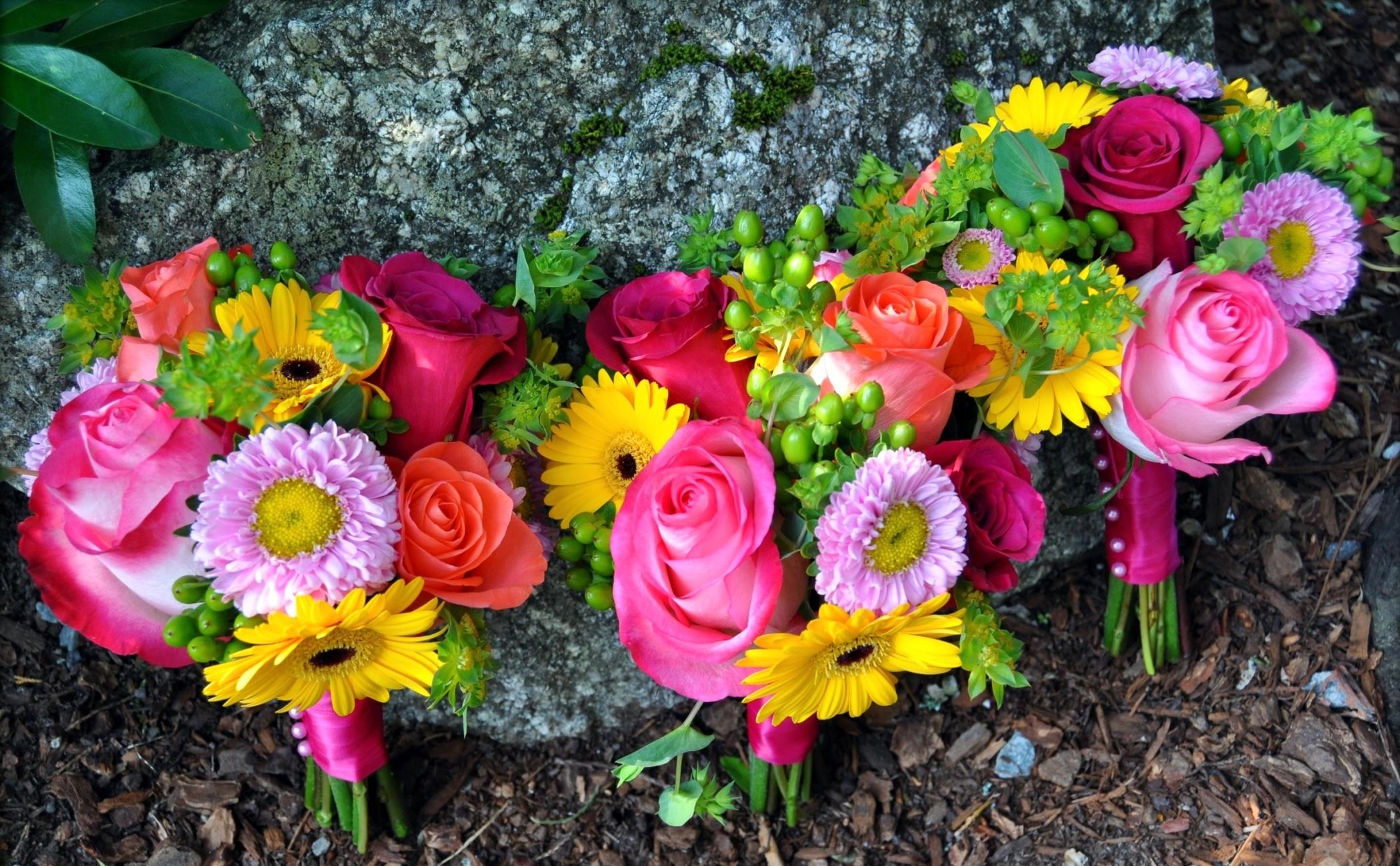 bouquets, flowers, roses, gerberas, rock, registration, typography, stone, three, asters