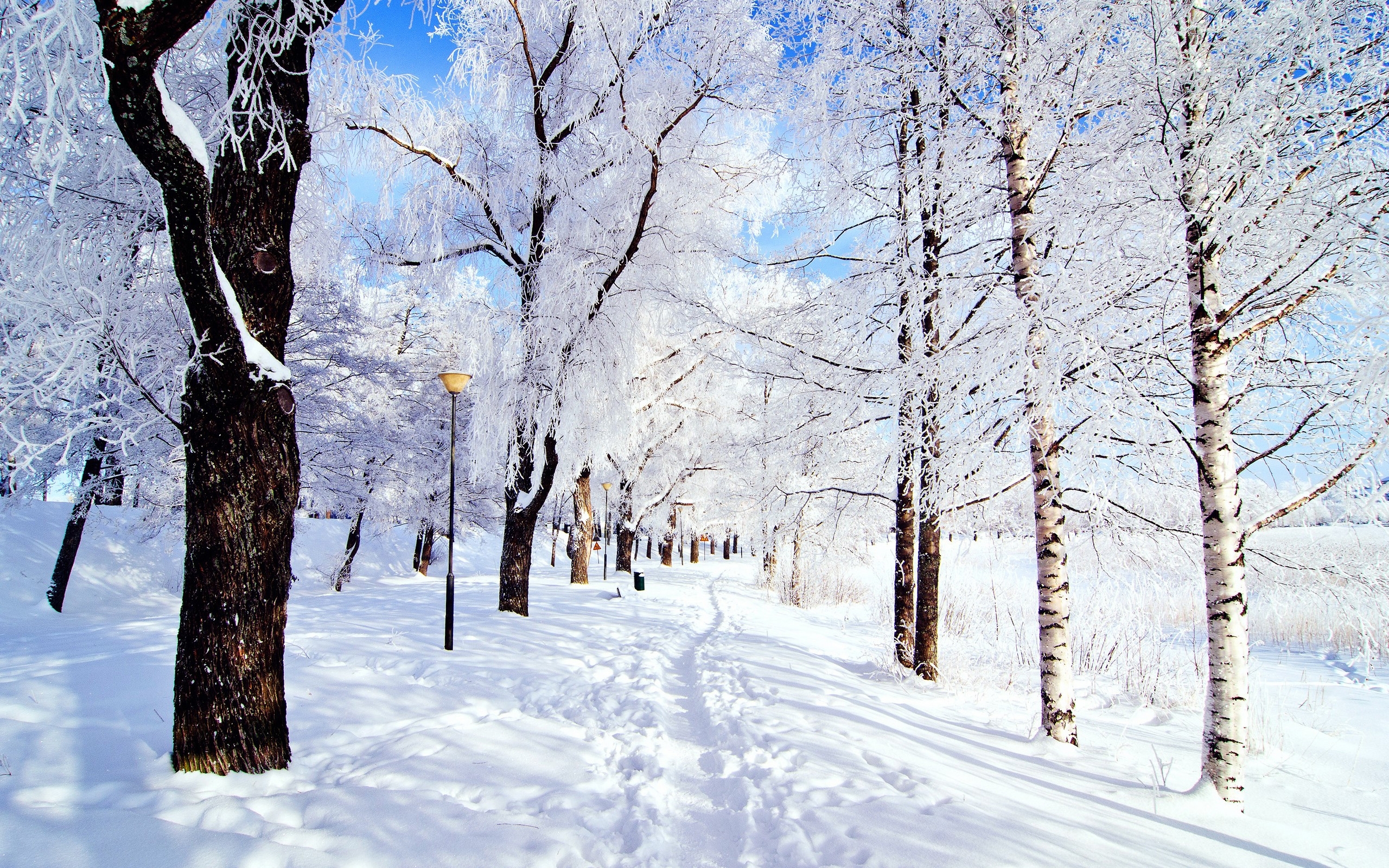 26355 télécharger le fond d'écran paysage, neige, hiver, arbres, routes - économiseurs d'écran et images gratuitement