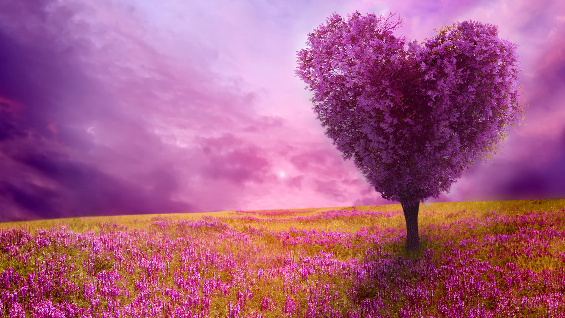 Скачать картинку Закат, Цветок, Дерево, Поле, Пурпурный, Художественные, В Форме Сердца в телефон бесплатно.