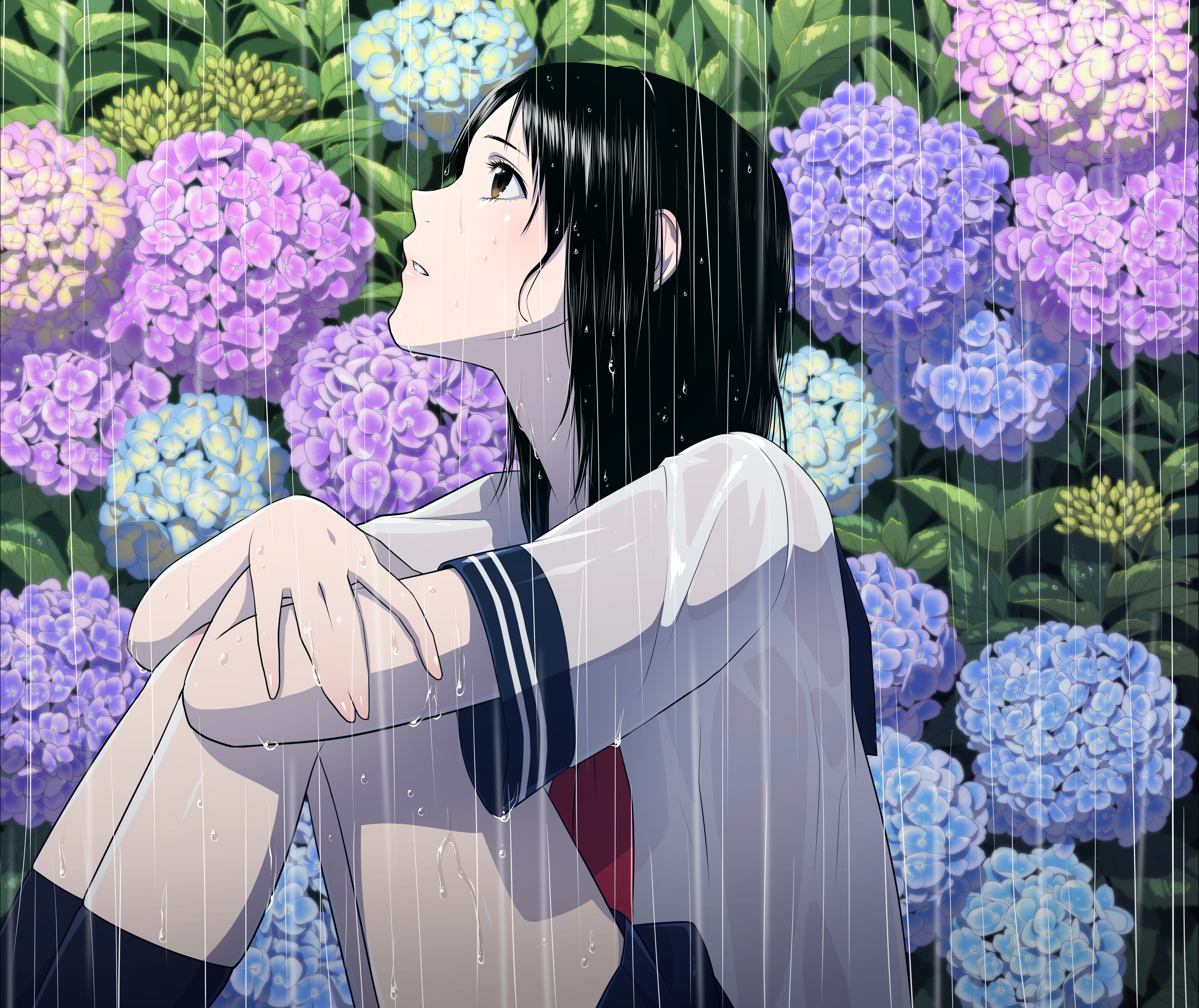 Handy-Wallpaper Mädchen, Regen, Hortensien, Animes kostenlos herunterladen.