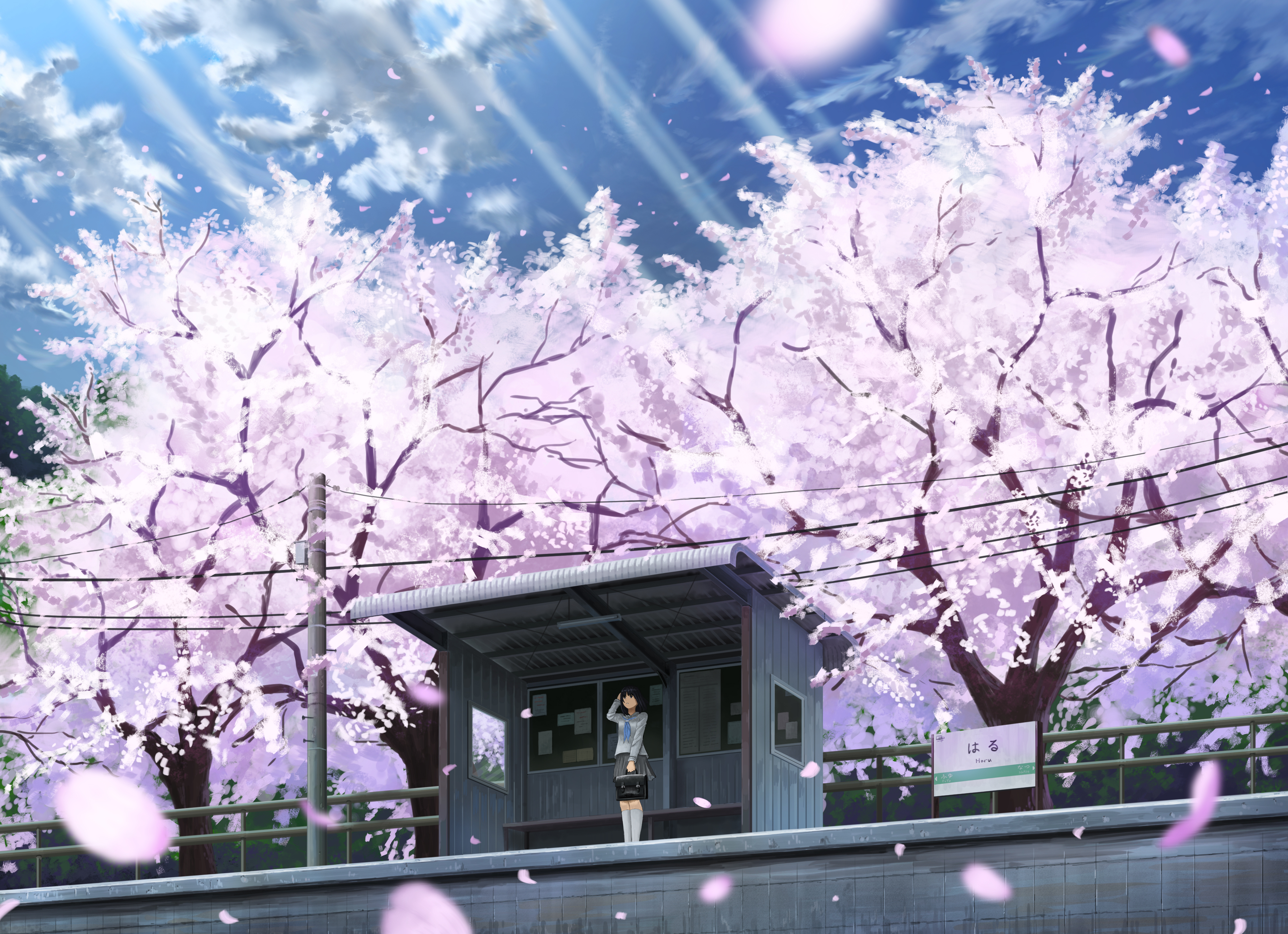Download mobile wallpaper Anime, Bag, Cherry Blossom, Original, Black Hair, Short Hair, Telephone Pole for free.