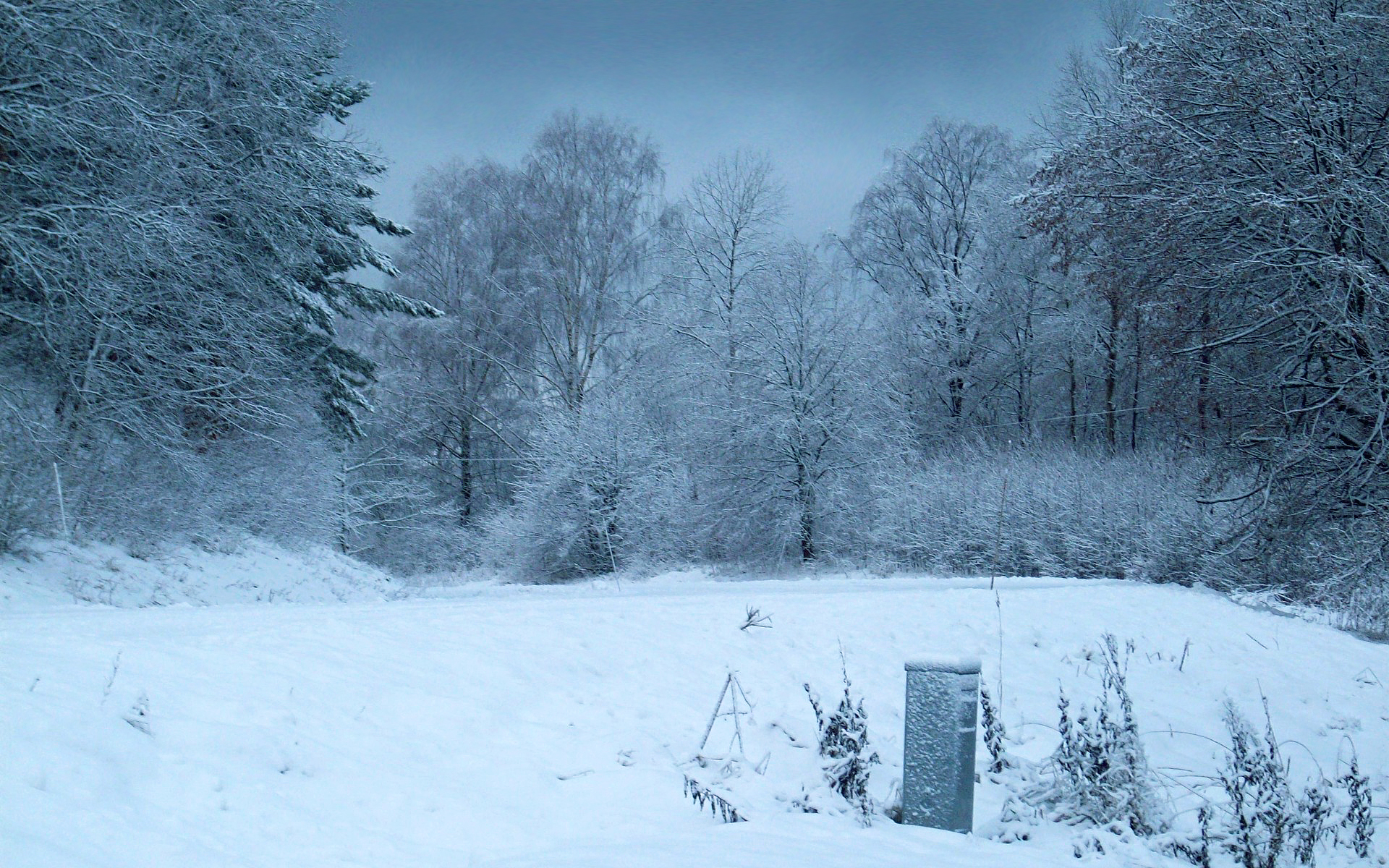 Baixe gratuitamente a imagem Inverno, Terra/natureza na área de trabalho do seu PC