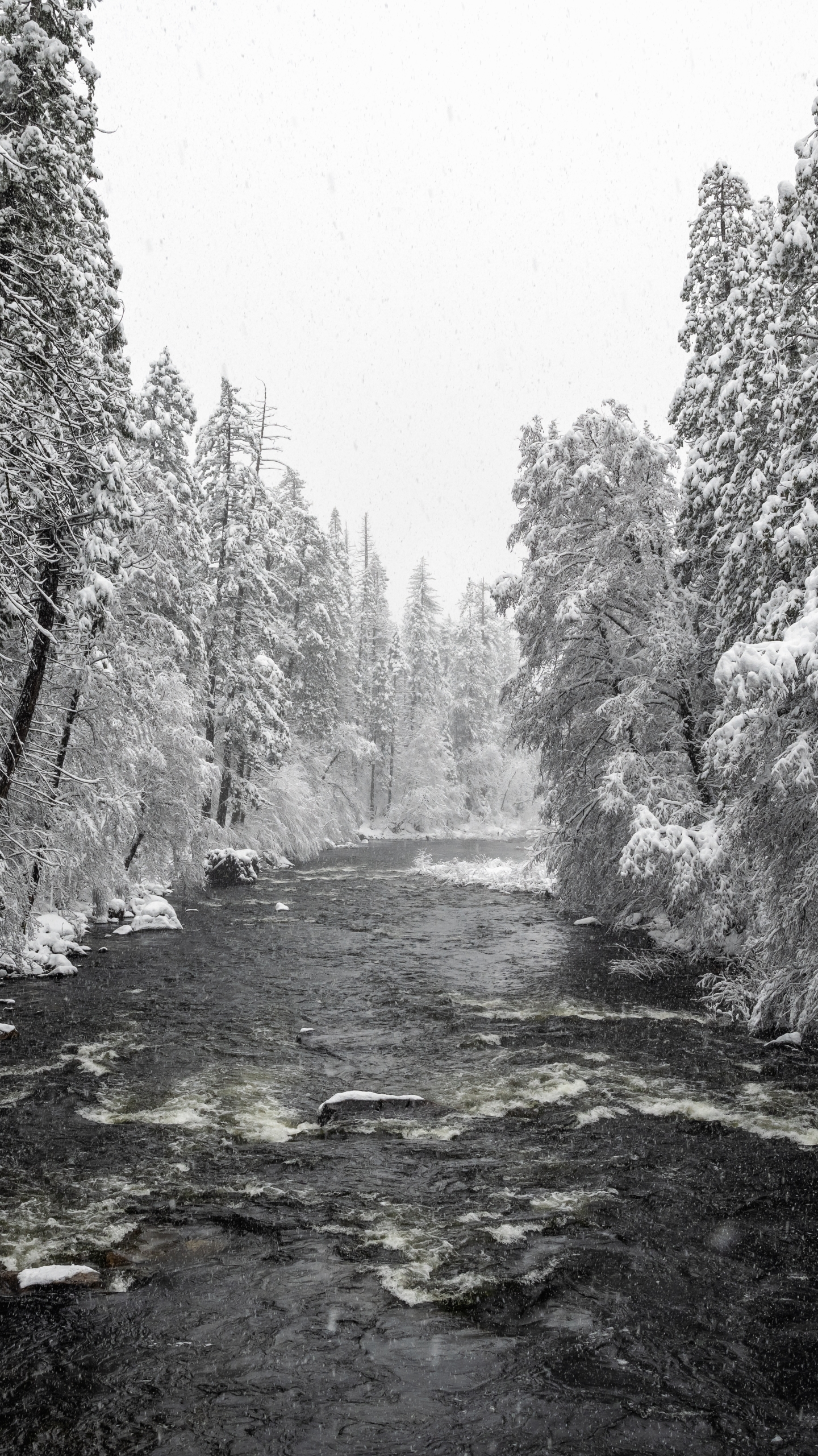 Скачати мобільні шпалери Зима, Природа, Річка, Сніг, Земля, Національний Парк Йосеміті безкоштовно.