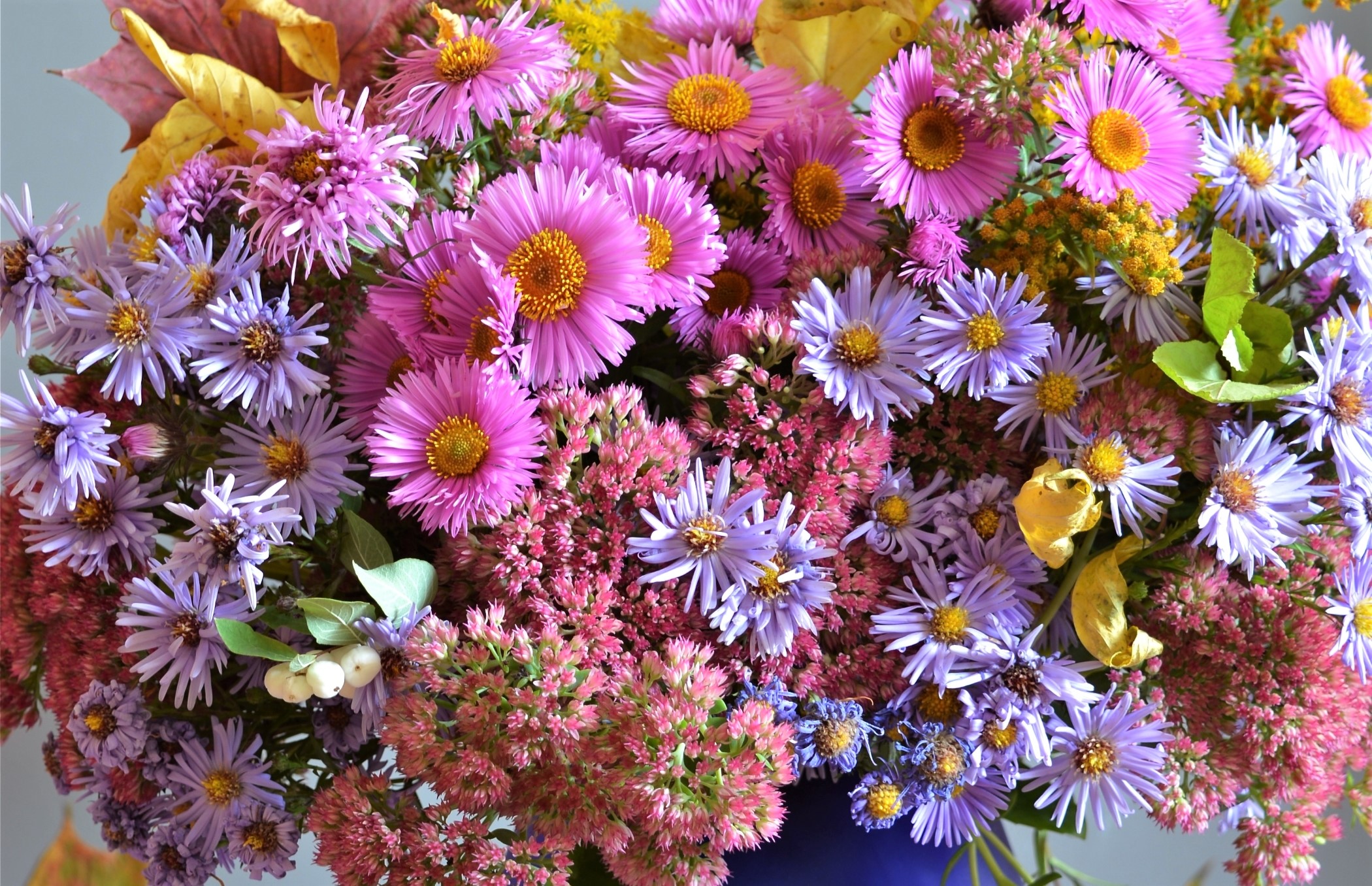 無料モバイル壁紙静物, 花, 花瓶, カラフル, 春, 写真撮影, ピンクの花をダウンロードします。