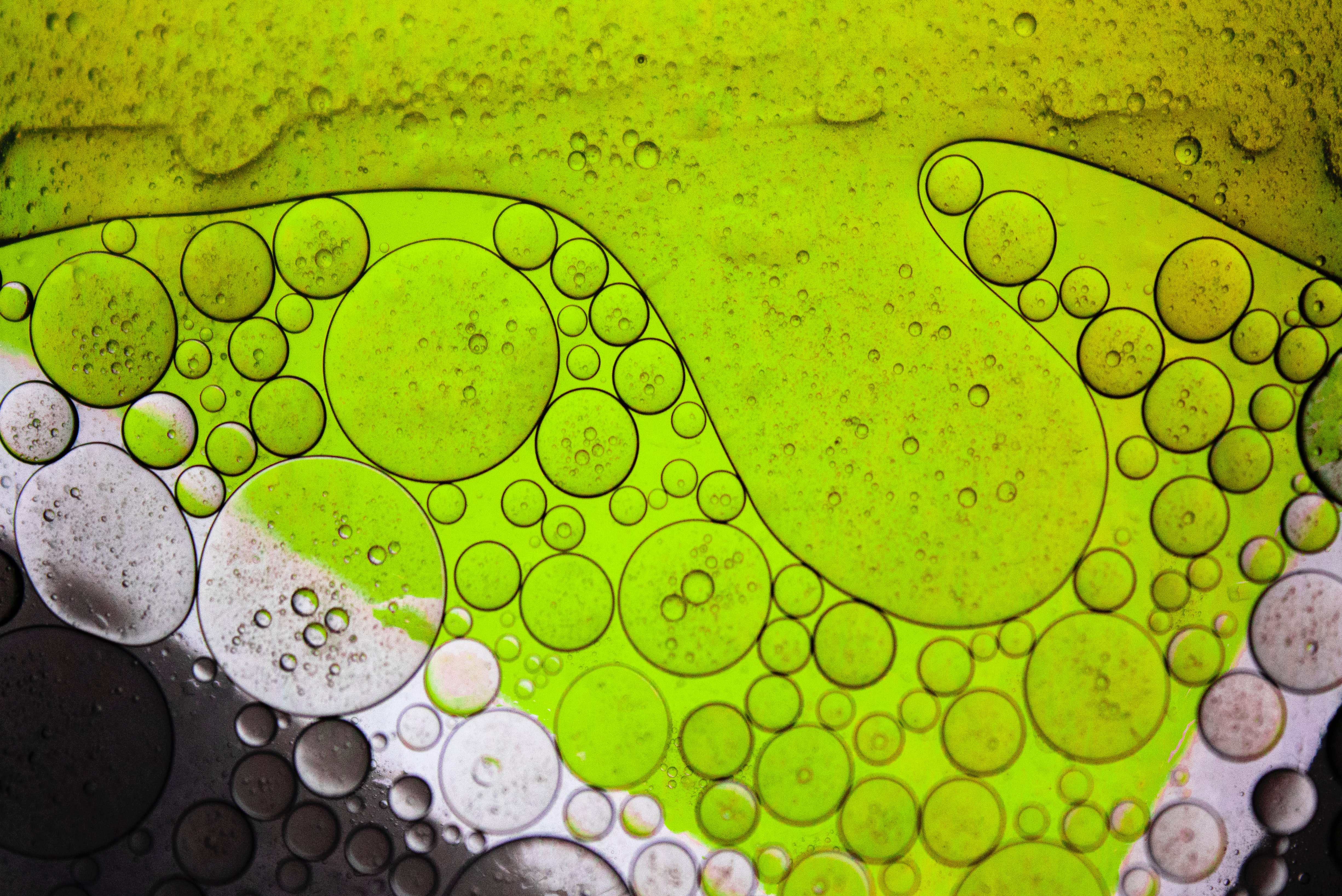 85473 завантажити шпалери бульбашки, зелений, макро, макрос, рідина, масло, олія - заставки і картинки безкоштовно