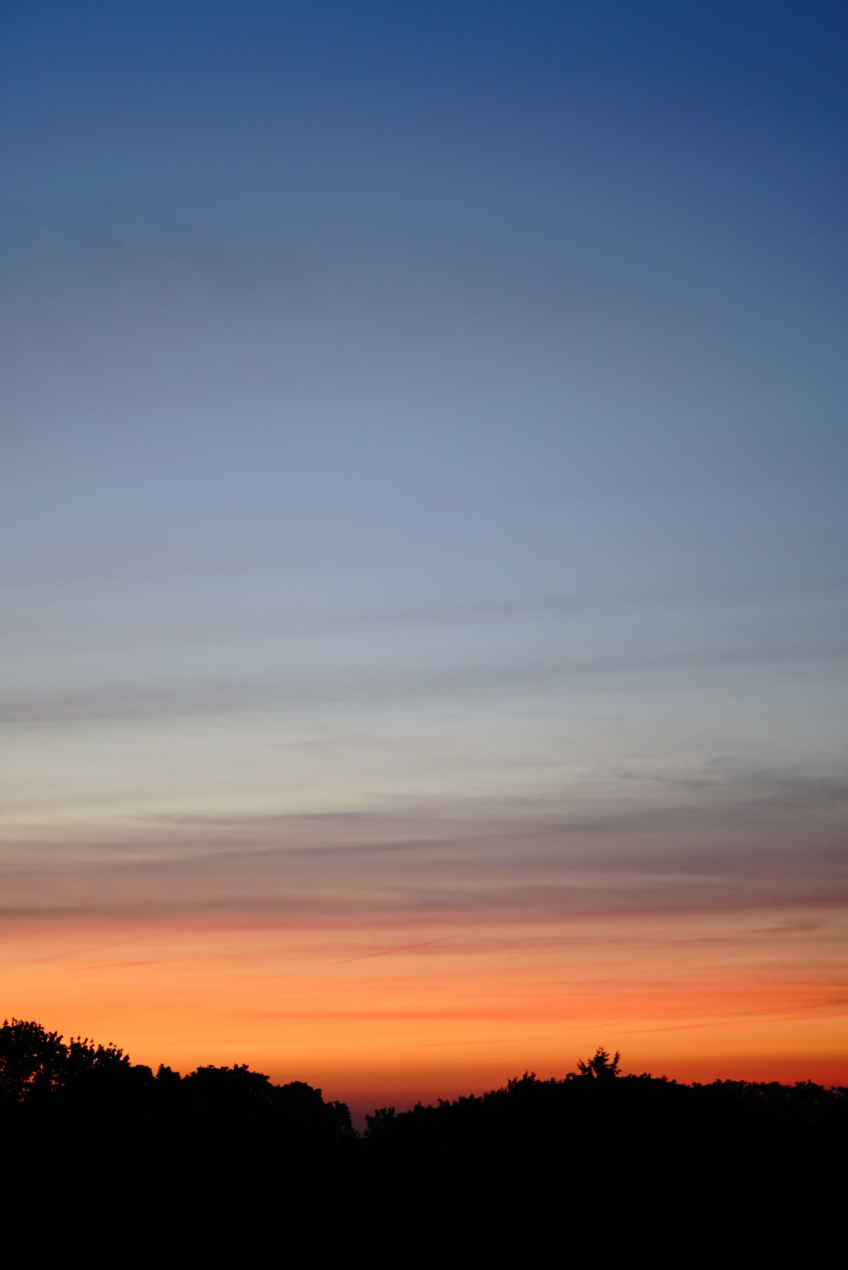 Download mobile wallpaper Trees, Nature, Dusk, Night, Sunset, Twilight, Silhouette for free.