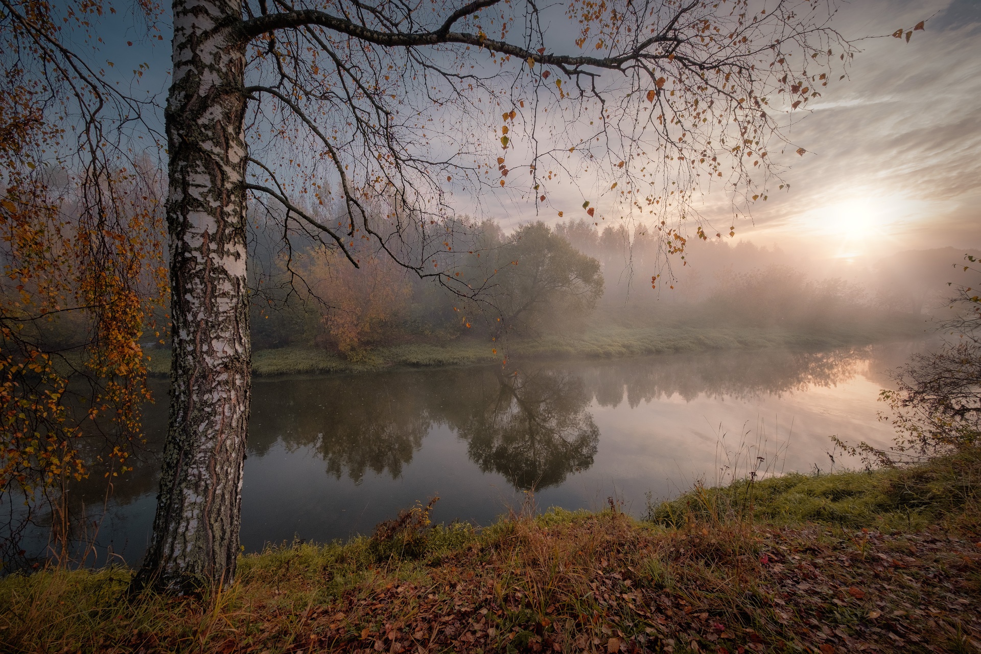 Laden Sie das Natur, Herbst, Birken, Nebel, Fluss, Morgen, Sonnenstrahl, Erde/natur-Bild kostenlos auf Ihren PC-Desktop herunter