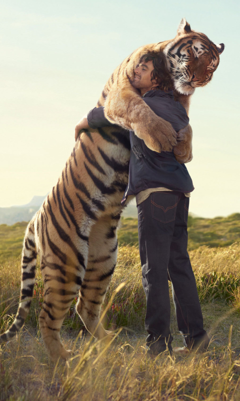 Скачать картинку Животные, Любовь, Тигр, Кошки в телефон бесплатно.