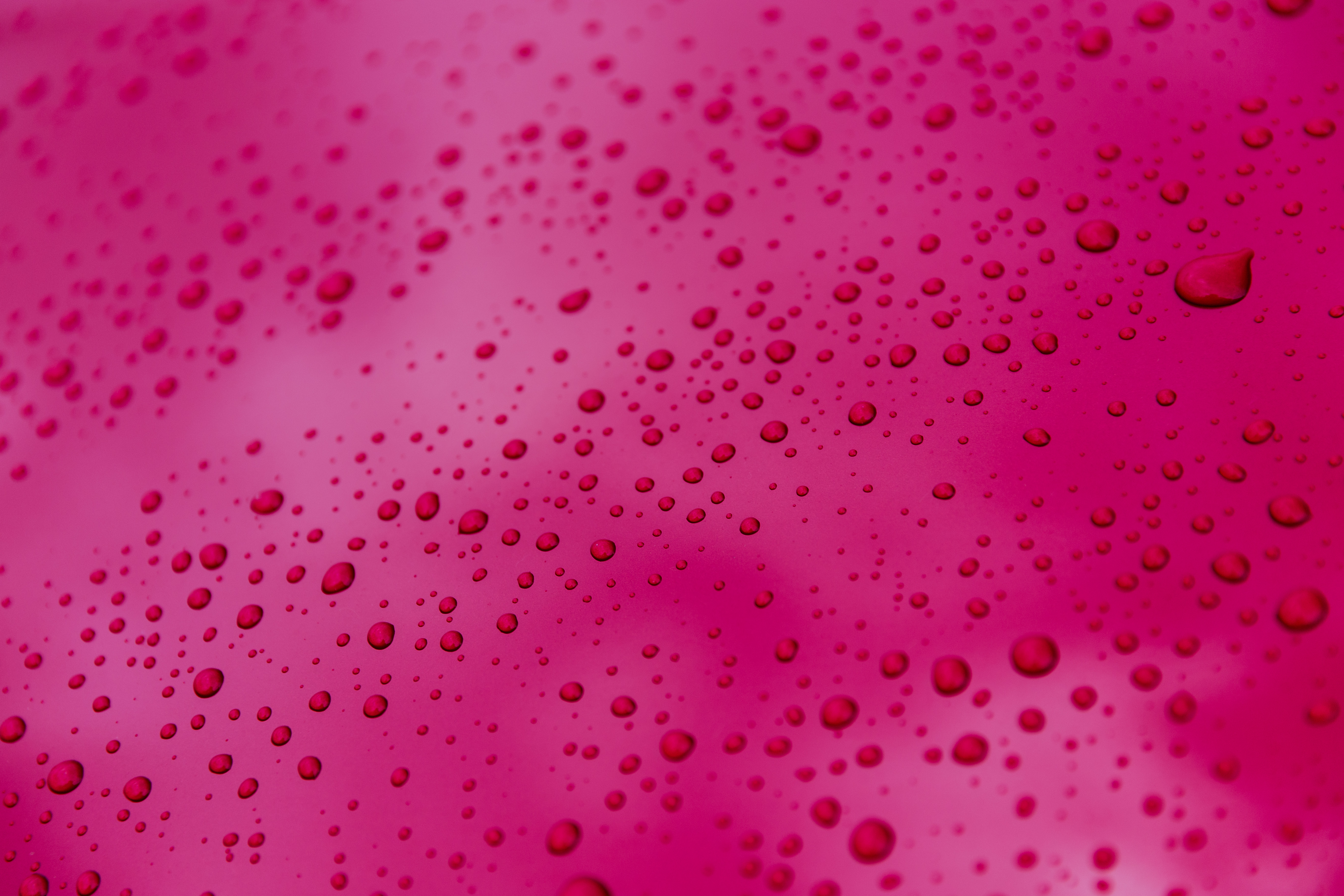 Free download wallpaper Pink, Texture, Drops, Textures, Surface on your PC desktop