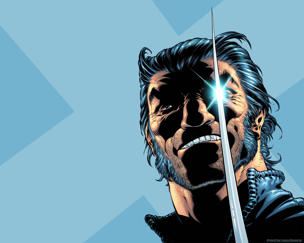 Téléchargez gratuitement l'image Bande Dessinées, Super Héros, Wolverine : Le Combat De L'immortel sur le bureau de votre PC